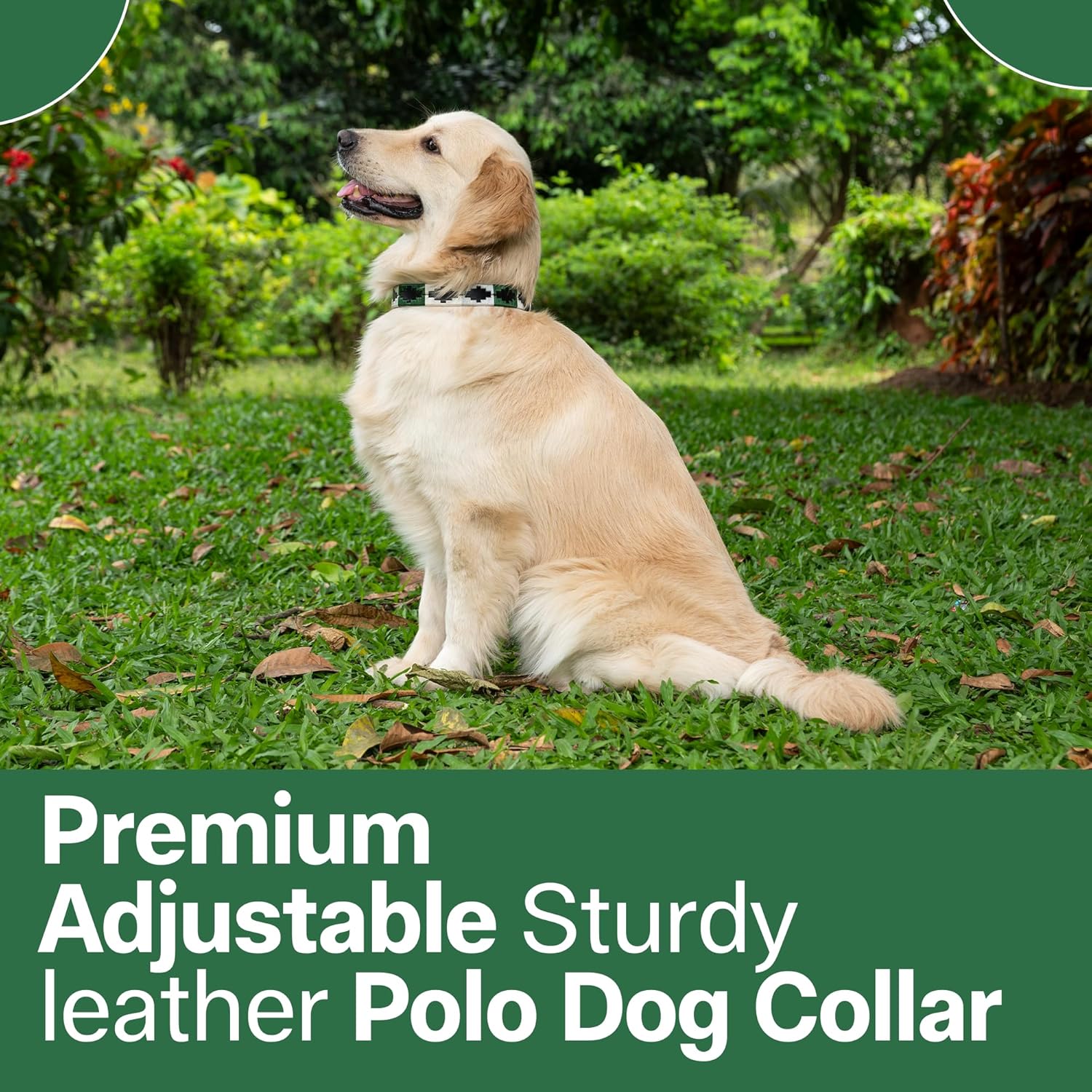 ADIL'S Polo Dog Collar,1 Inch Width Handcrafted by Artisans|Leather Dog Collar with Strong Metal Buckle & D-Ring for Small, Medium & Large Dogs