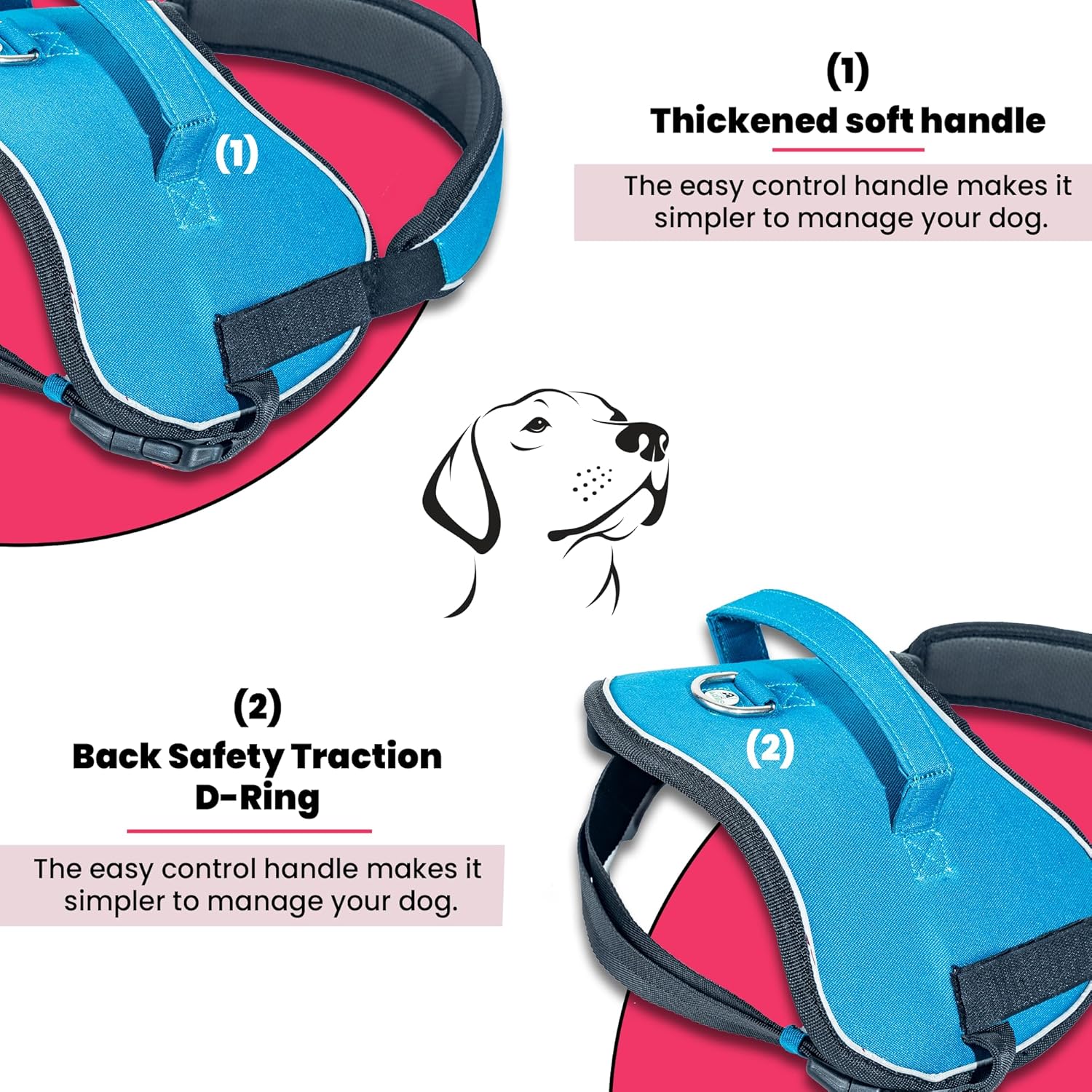Adil’S No Pull Reflective Dog Harness – Adjustable Soft Dog Harness Set for Small Medium & Large Dogs for Outdoor Activity. (Blue, S)
