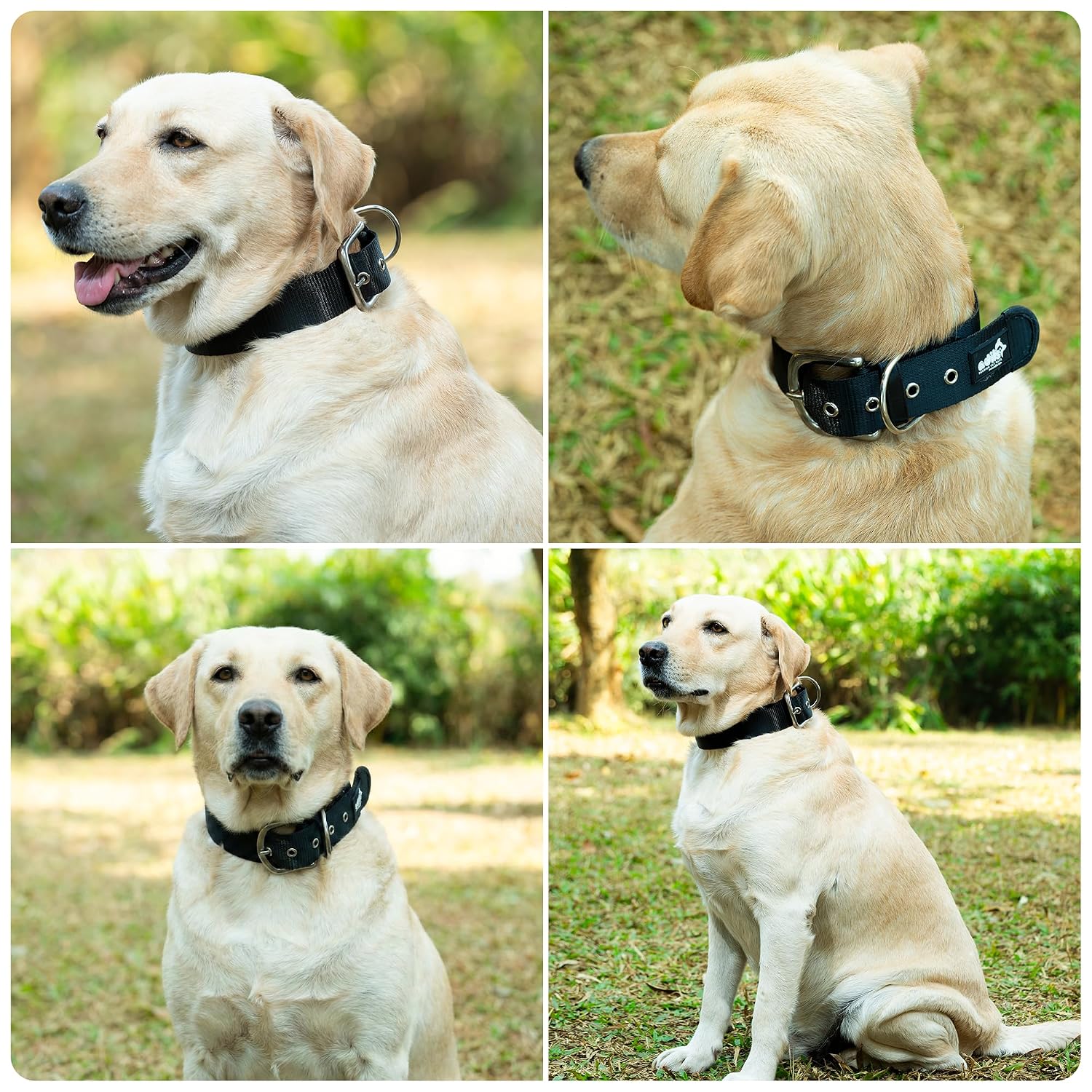 ADIL's Nylon Dog Collar – 1.5 Inch Wide Heavy-Duty Neckbelt with Metal Buckle D-Ring, Adjustable Safety Strap Small Medium Large Pets for Outdoor Walking Training