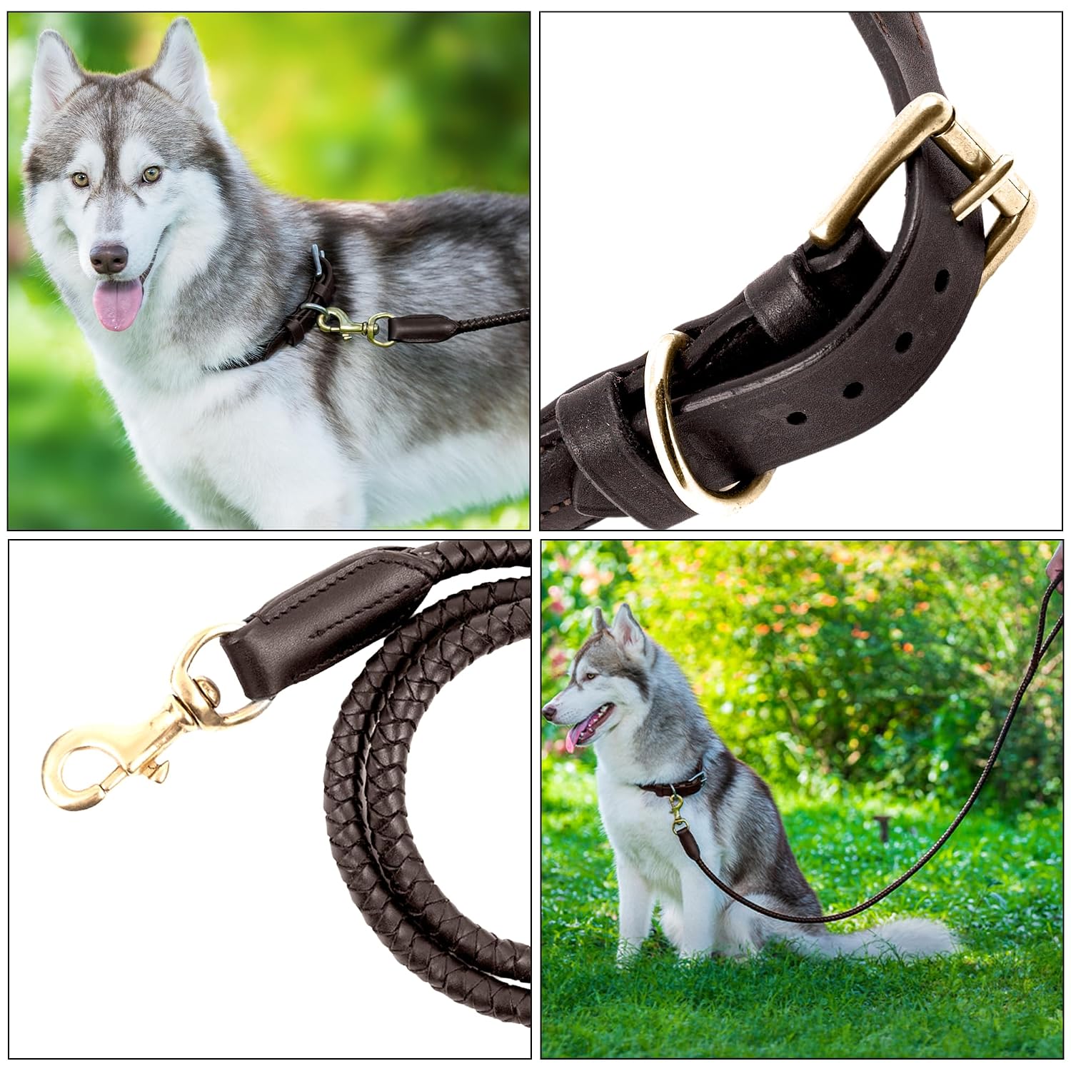 Braided Rolled Drum Dyed (DD) Leather Dog Collar & Leash