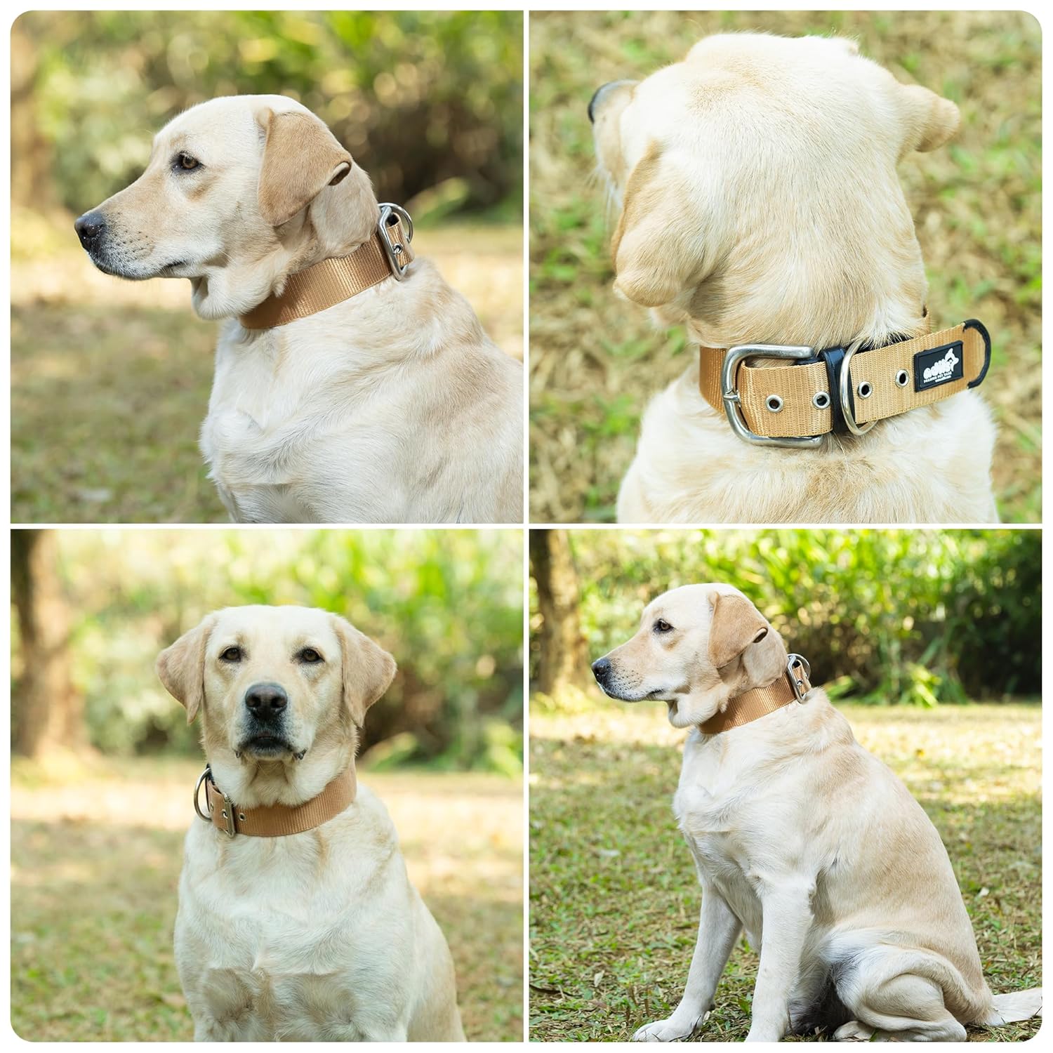 ADIL's Nylon Dog Collar – 1.5 Inch Wide Heavy-Duty Neckbelt with Metal Buckle D-Ring, Adjustable Safety Strap Small Medium Large Pets for Outdoor Walking Training (Beige, S)