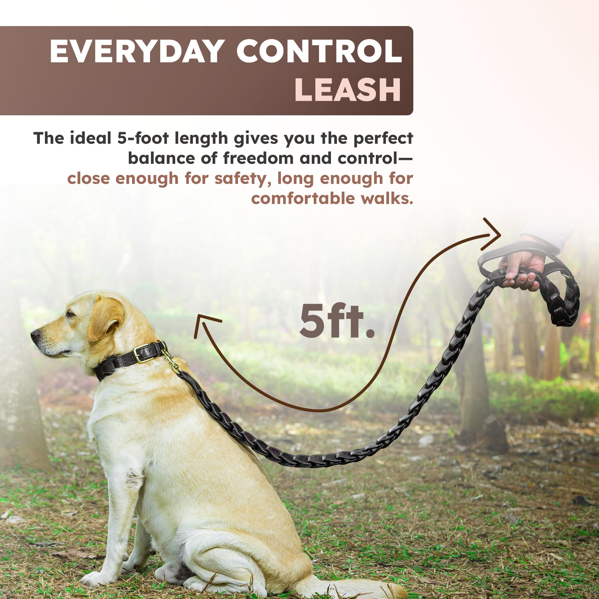 Adil's Premium Softy Leather Dog Leash 5ft Long 1 Inch Wide Braided Leash with Loop Handle 360° Golden Swivel Hook Strong D-Ring Durable Walking Training Lead for Small Medium Large Pets