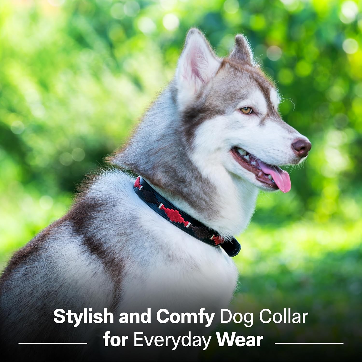 ADIL'S Polo Dog Collar,1 Inch Width Handcrafted by Artisans|Leather Dog Collar with Strong Metal Buckle & D-Ring for Small, Medium & Large Dogs