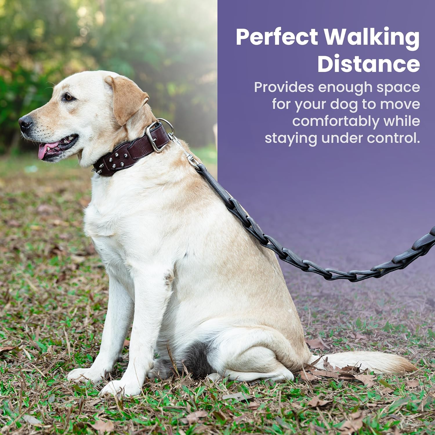 Adil’s Personalized Leather Loop Spike Dog Collar & Leash Combo Set 1.5" Wide Adjustable Neckbelt Metal Buckle D-Ring 5Ft Leather Heavy Duty Loop Cord with 360 Swivel Hook for Training Walking