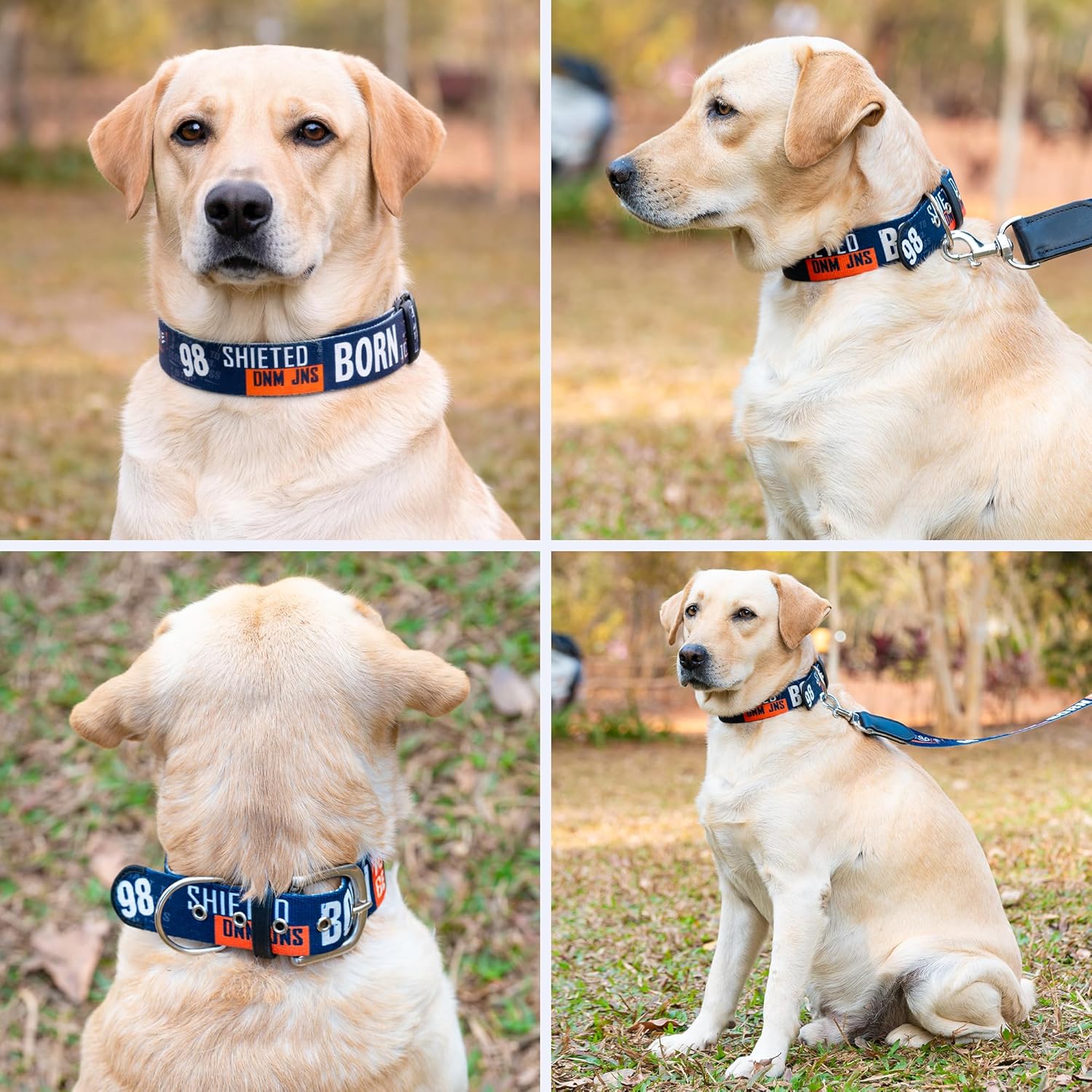 ADIL's Handcrafted Cotton Dog Collar – Premium Graffiti Printed Webbing Neckbelt with Heavy-Duty Metal Buckle & Strong D-Ring Adjustable Neckband for Small Medium Large Dogs