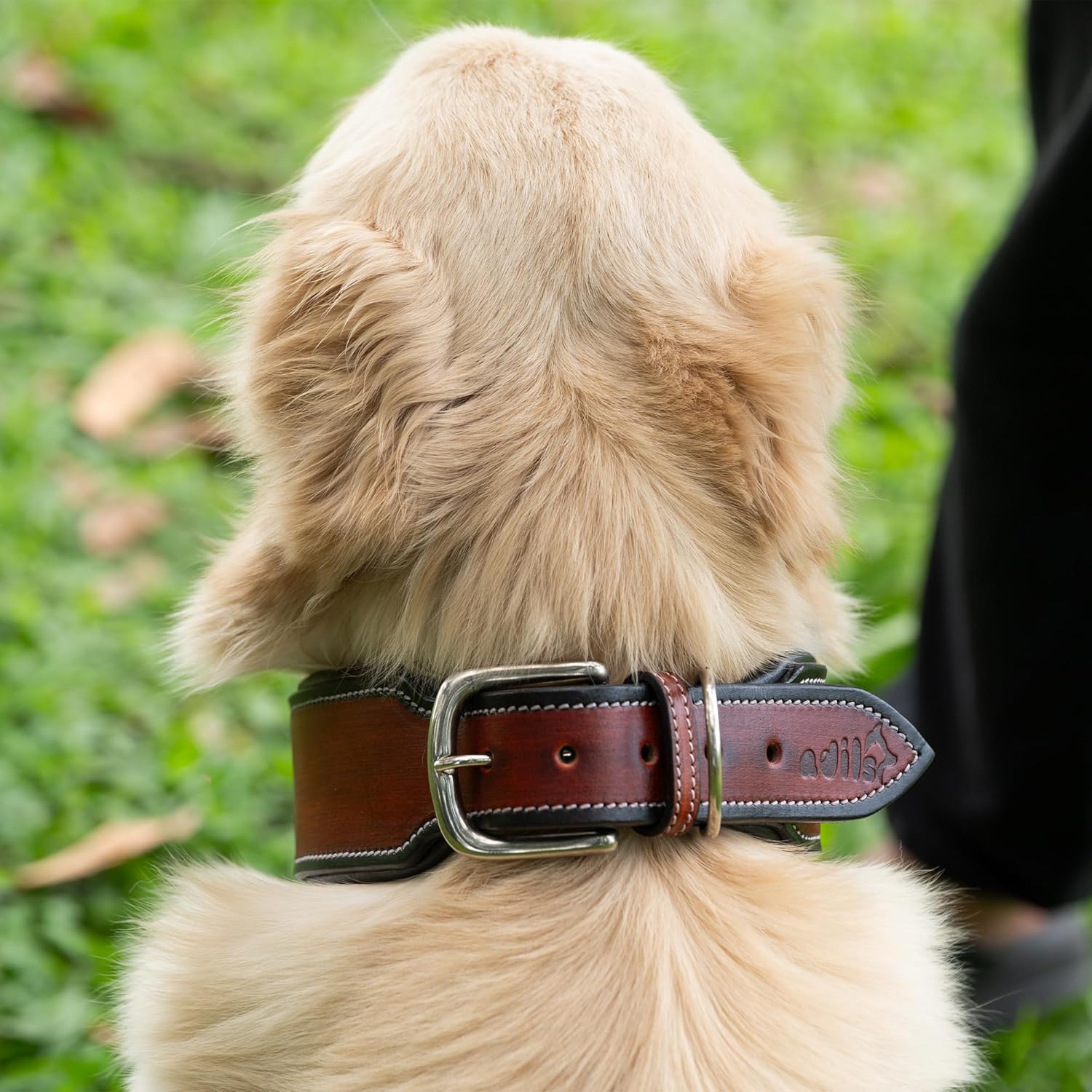 Adil’S supertails Genuine Leather Black Edge Dog Collar 2.5 Inch Width, Heavy Duty, Adjustable Leather Handmade Dog Collar with Strong Metal Buckle, Neck Size: 12” to 26” Color: Orange Brown