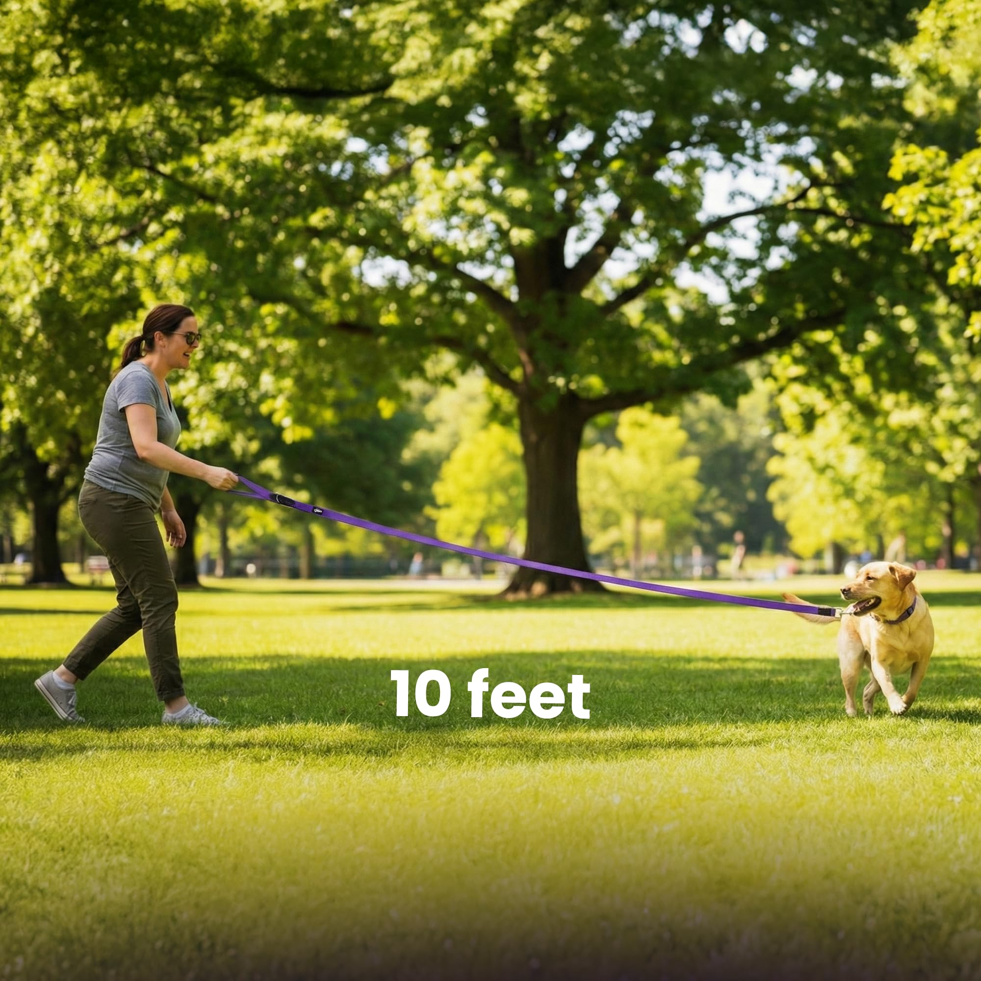 Adil’s 10FT Adjustable Dog Leash Features a Soft Leather Handle, Strong Nylon, and a 360° Swivel Hook—Durable, Comfy, and Ideal for Small to Large Dogs.