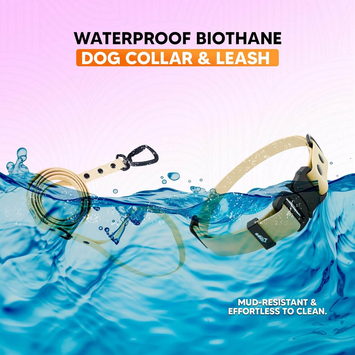 Biothane Combo Dog Collar & Leash