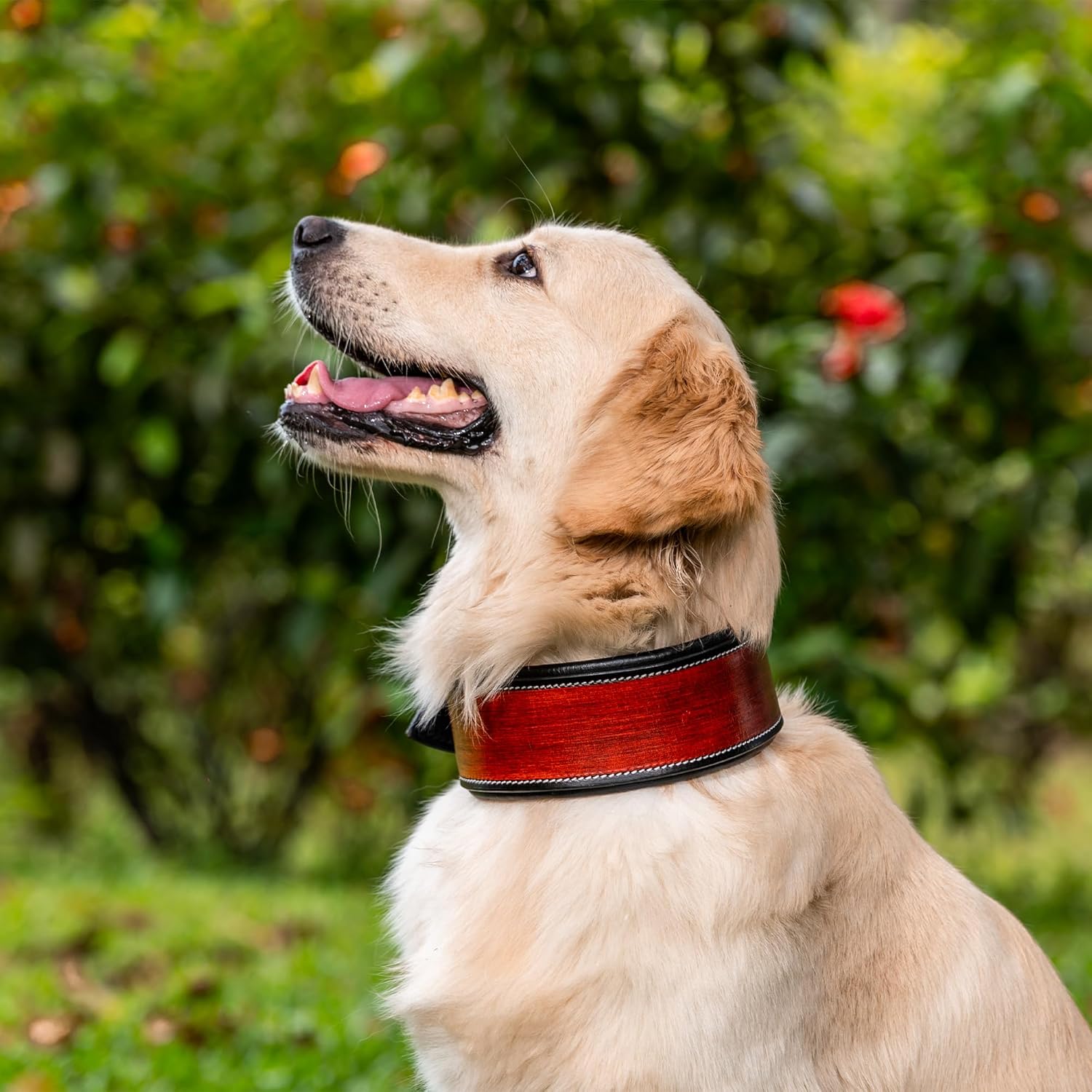 Handmade Leather Plain Dog Collar, Adjustable Leather Dog Collar with Strong Metal Buckle