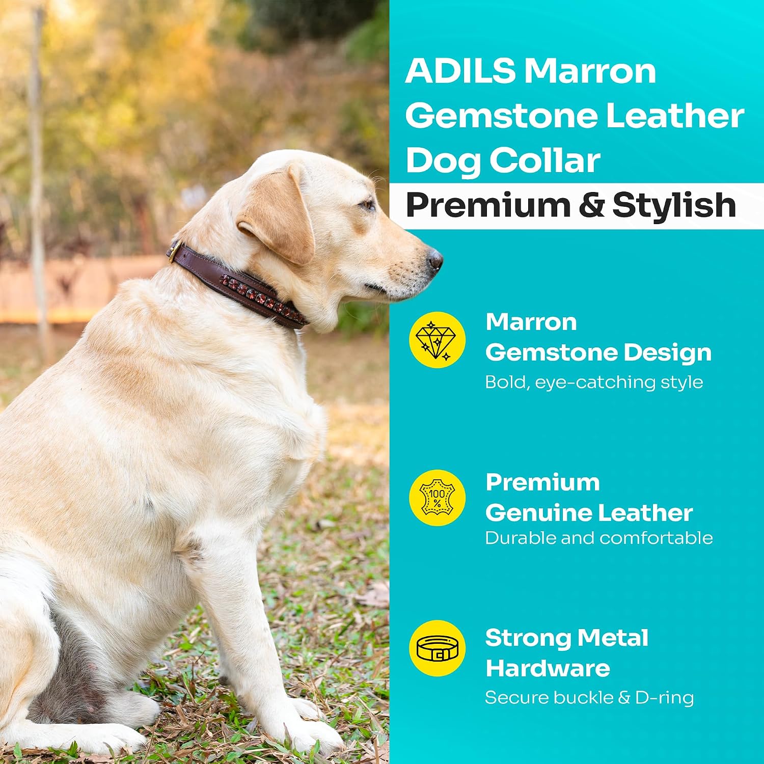 Adil’s Crystal Dog Collar, 1 inch Wide Green Gemstone Chain Leather Dog Collars for Small Medium Large Dogs, Adjustable Collars with Strong Metal Buckle & D-Ring