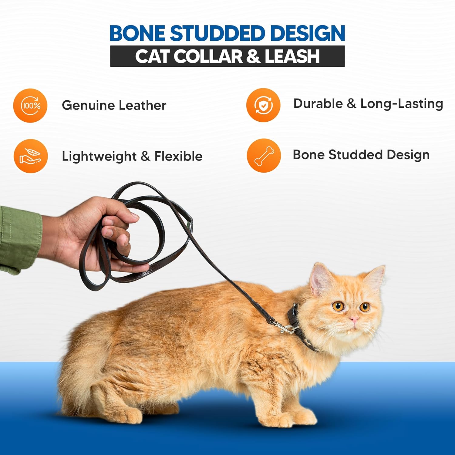 Adil’S Leather Cat Collar & Leash Set - Stylish Six Bone Studded Design Collar, Genuine Leather, Adjustable Buckle & Secure 5ft Leash for Safe and Comfortable Outdoor Activity (Brown)