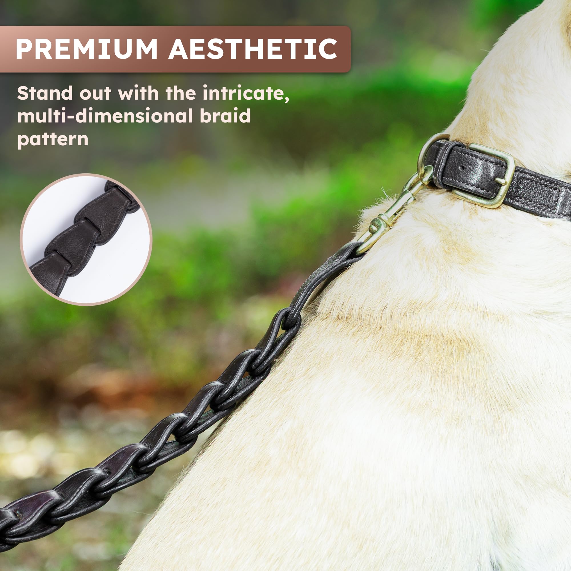 Adil's Premium Softy Leather Dog Leash 5ft Long 1 Inch Wide Braided Leash with Loop Handle 360° Golden Swivel Hook Strong D-Ring Durable Walking Training Lead for Small Medium Large Pets