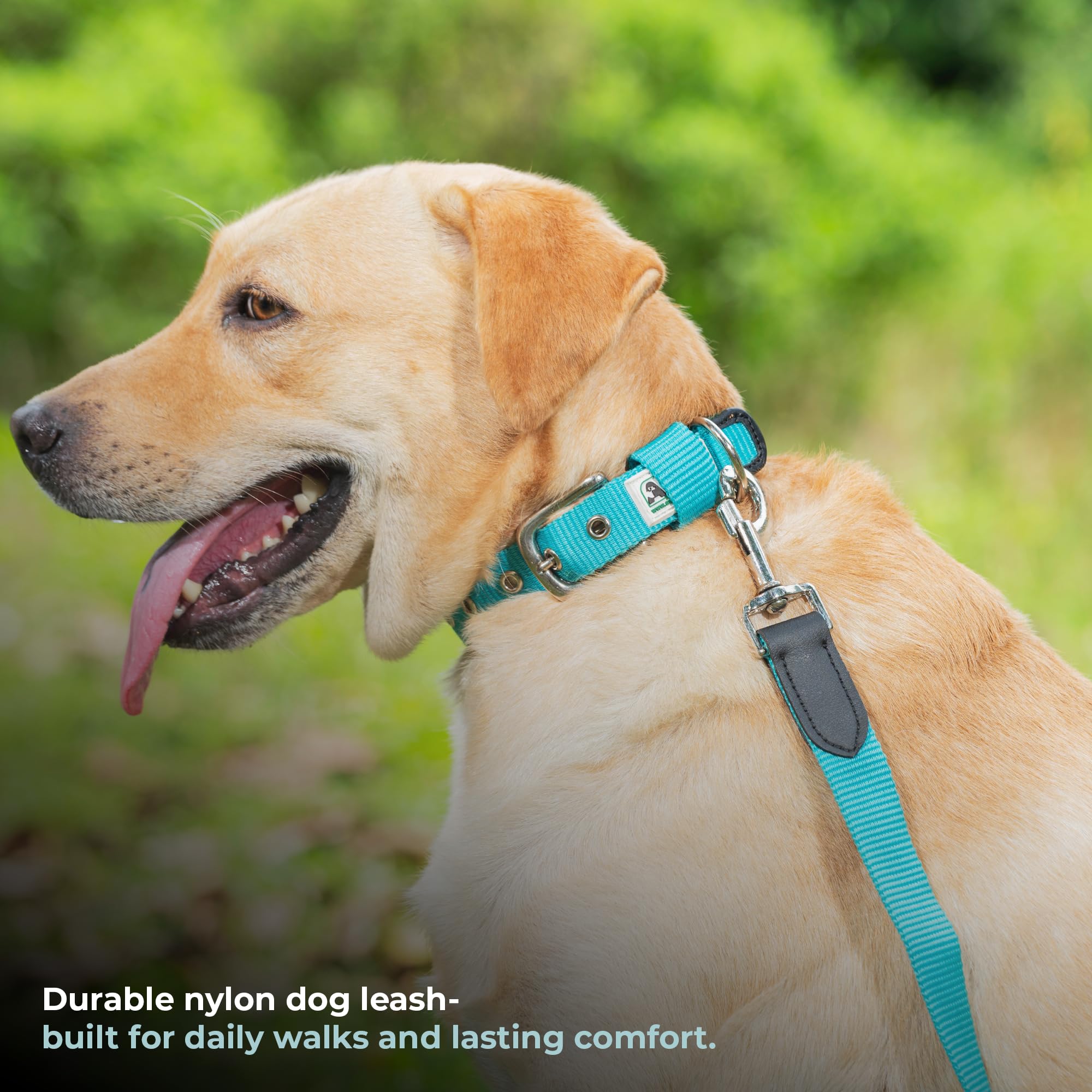 Adil’s 5FT Adjustable Nylon Dog Leash with Soft Leather Handle – Durable Long Lead with 360° Swivel Hook – Strong, Tangle-Free Leash for Walking & Training Small, Medium & Large Dogs