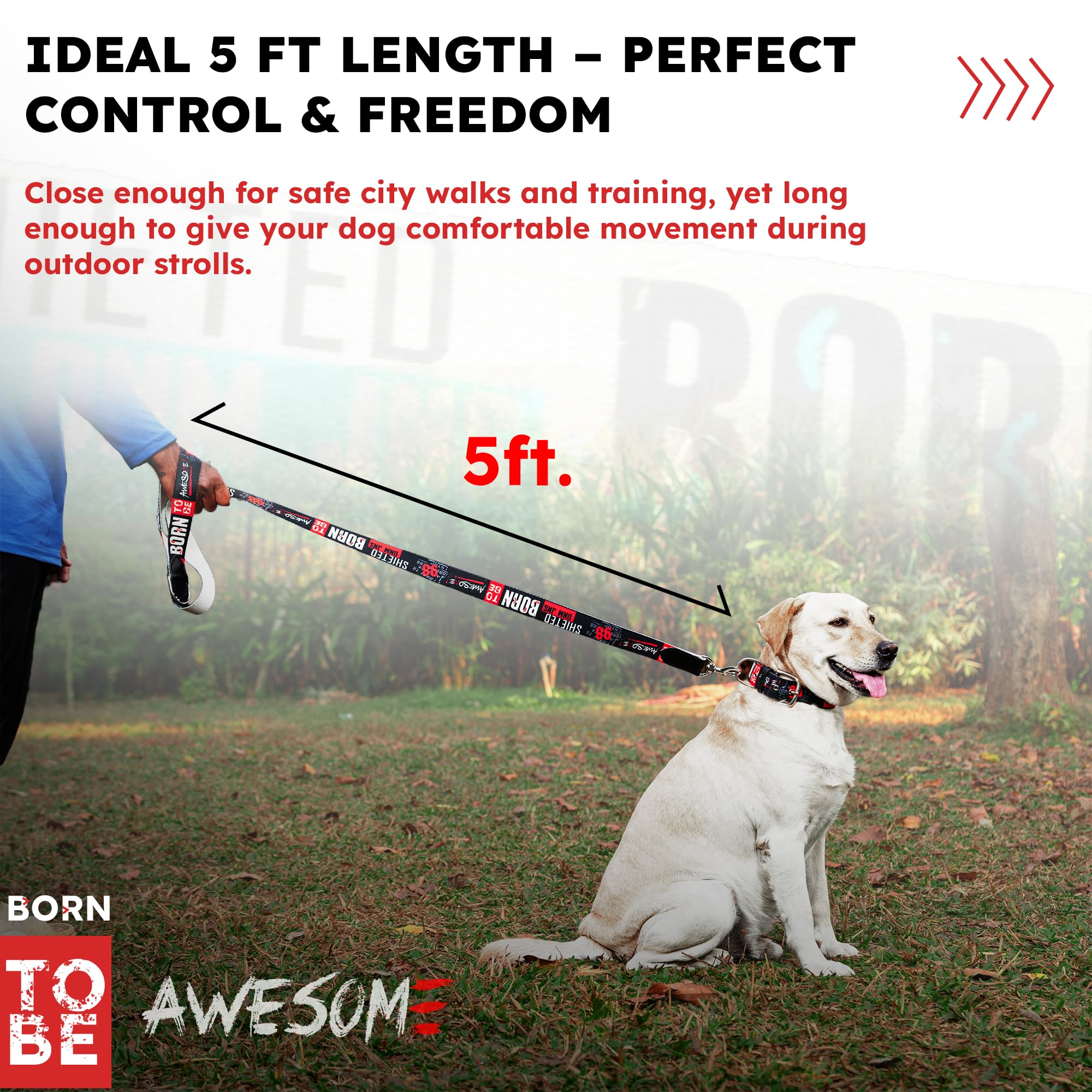 ADIL's Handcrafted Cotton Dog Leash – Premium Graffiti Printed Webbing Pet Walking Lead with Soft Loop Handle 360° Chrome Swivel Hook Strong Metallic D-Ring for Small Medium Large Dogs, 5ft