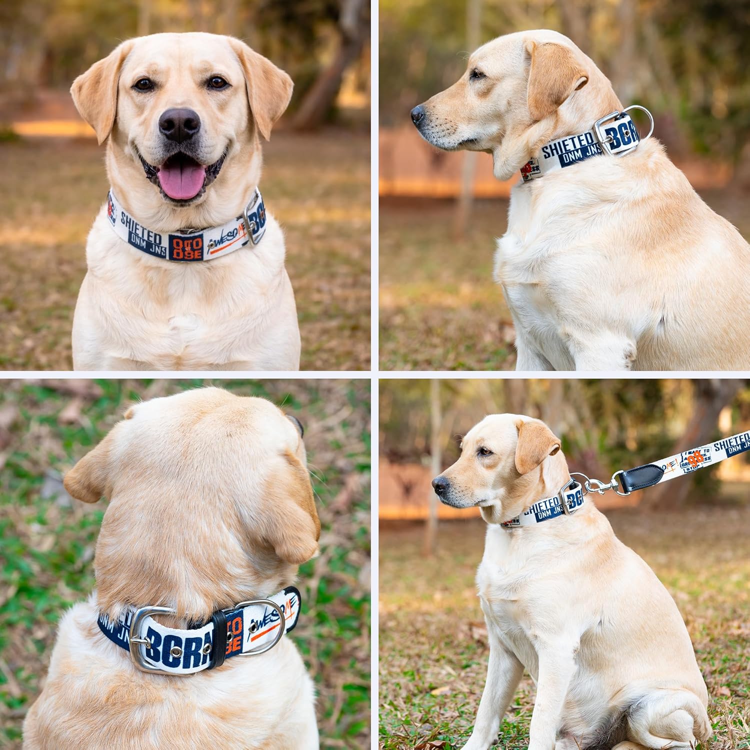 ADIL's Handcrafted Cotton Dog Collar – Premium Graffiti Printed Webbing Neckbelt with Heavy-Duty Metal Buckle & Strong D-Ring Adjustable Neckband for Small Medium Large Dogs