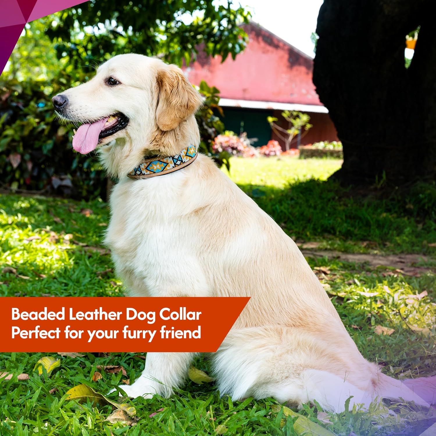 Adil’S Beaded Leather Dog Collar 1.5 Inch Width, for Small, Medium & Large Dogs, Hand Tooled Adjustable Beaded Dog Collars with Strong Metal Buckle & D-Ring