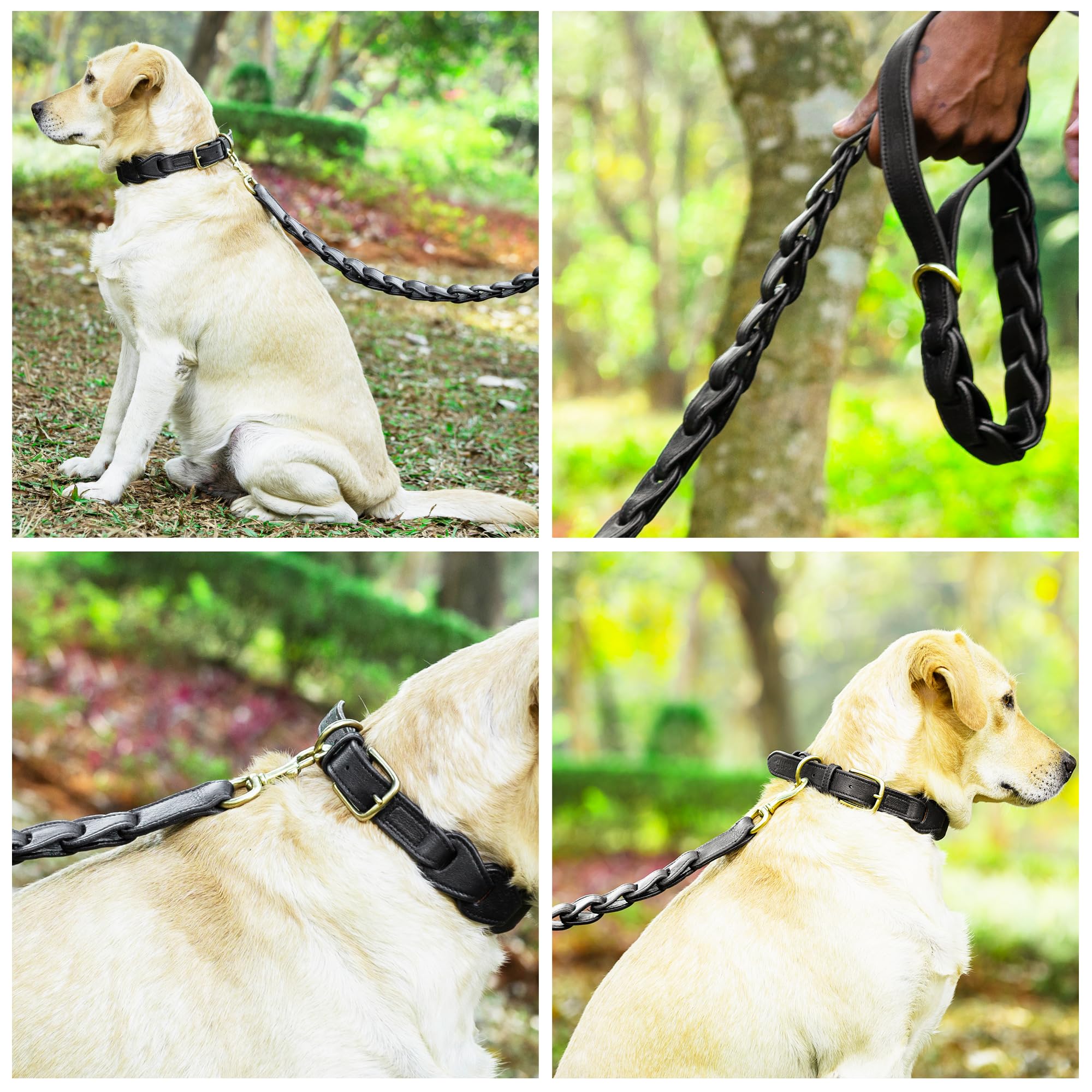 Adil's Premium Softy Leather Dog Leash 5ft Long 1 Inch Wide Braided Leash with Loop Handle 360° Golden Swivel Hook Strong D-Ring Durable Walking Training Lead for Small Medium Large Pets