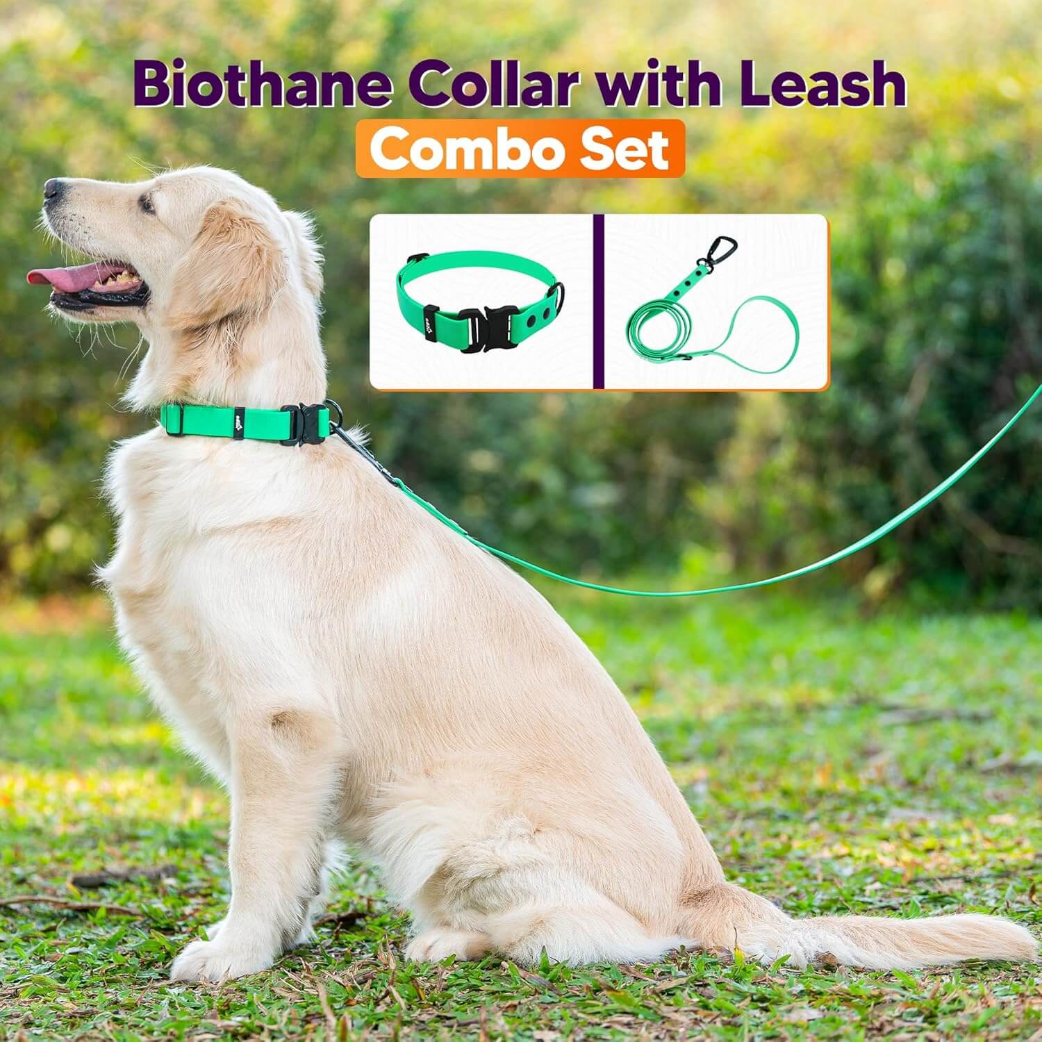 Biothane Combo Dog Collar & Leash
