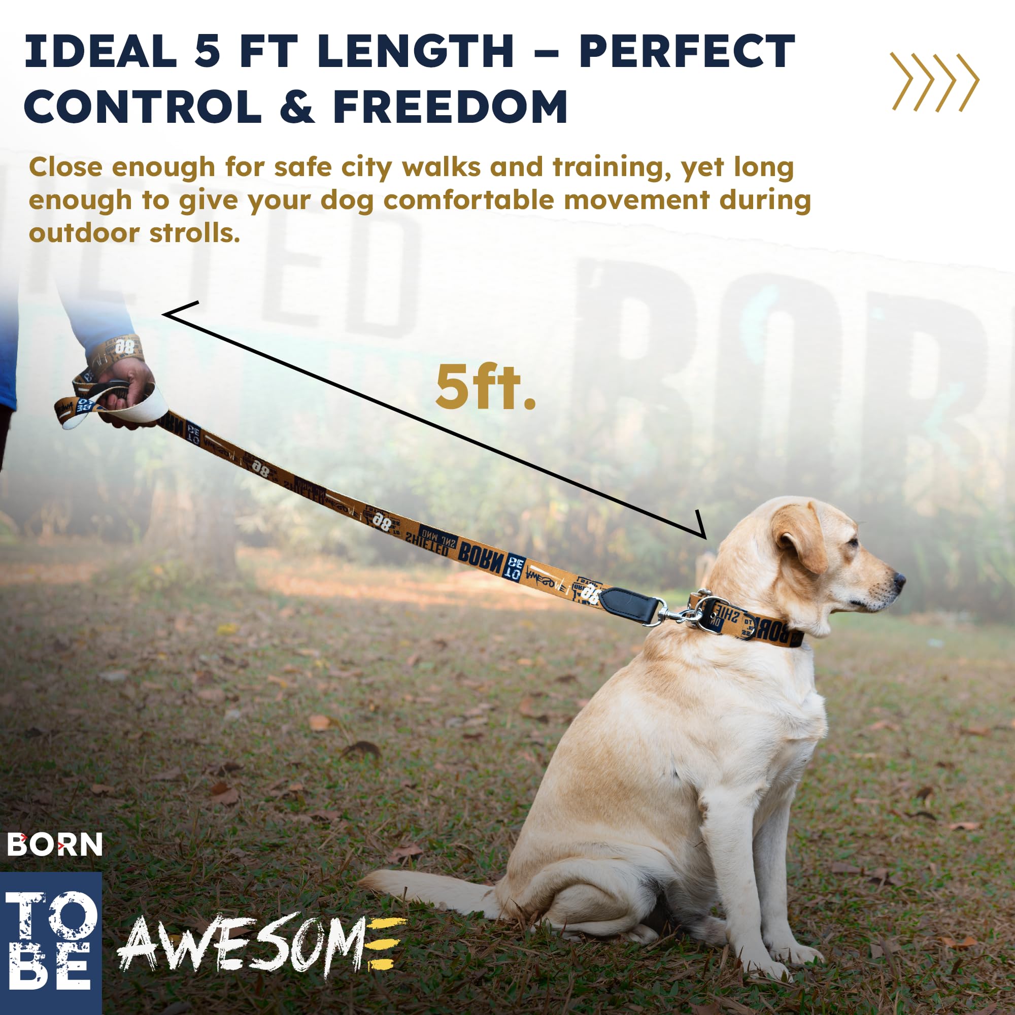 ADIL's Handcrafted Cotton Dog Leash – Premium Graffiti Printed Webbing Pet Walking Lead with Soft Loop Handle 360° Chrome Swivel Hook Strong Metallic D-Ring for Small Medium Large Dogs, 5ft