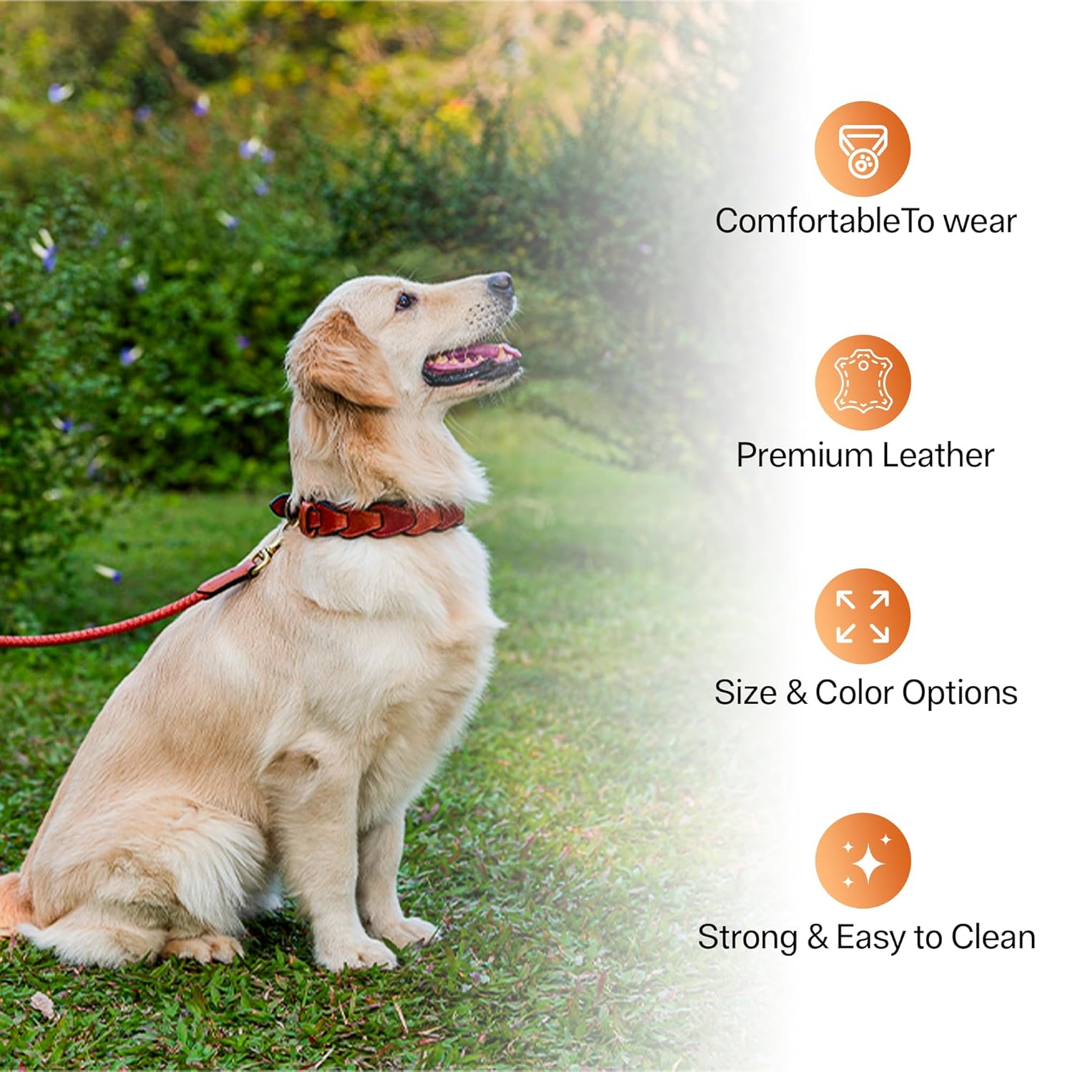 Adil’S Genuine Leather Loop Dog Collar – Handmade, Heavy-Duty, Soft Padded & Adjustable – Durable Braided Leather Collar Dogs