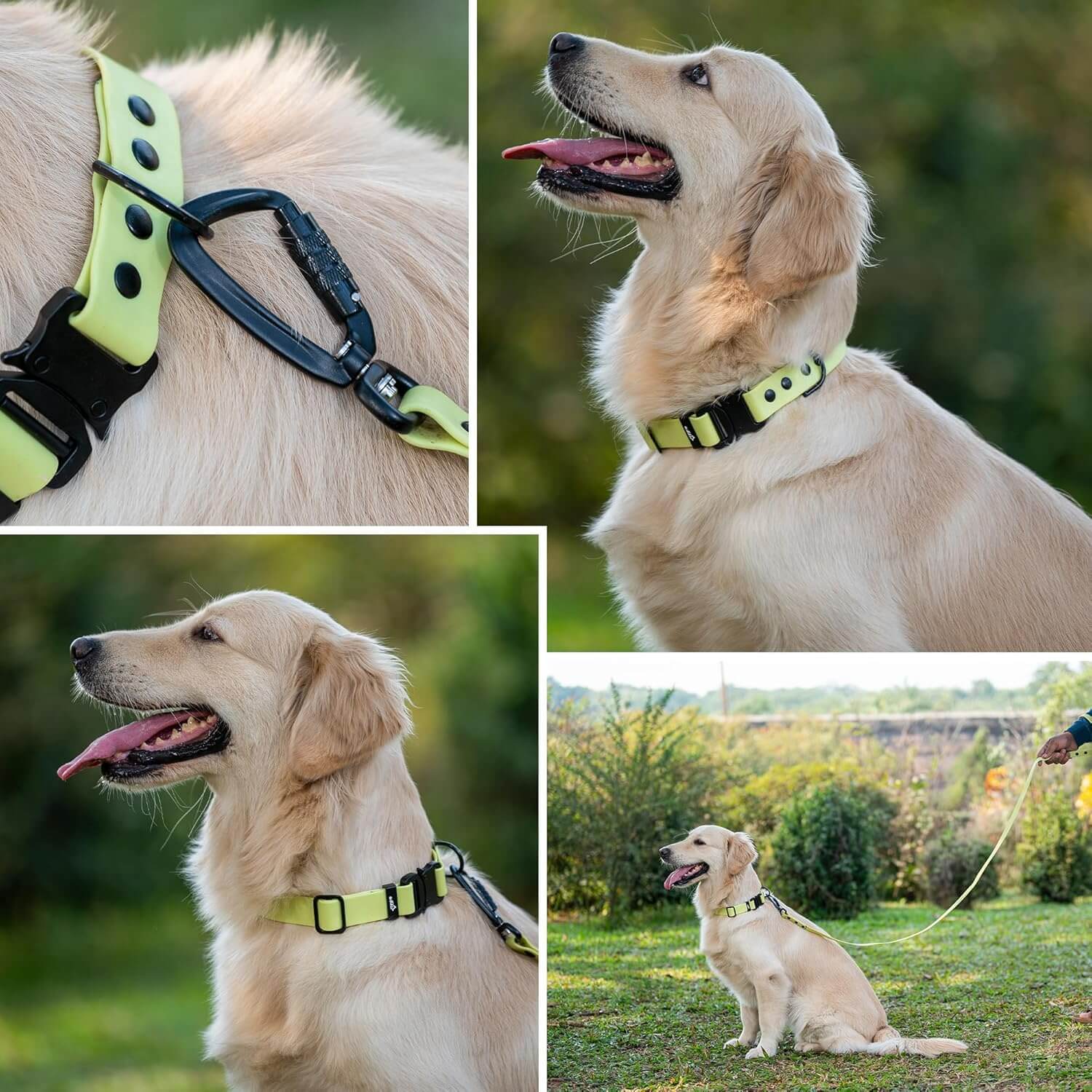 Biothane Combo Dog Collar & Leash