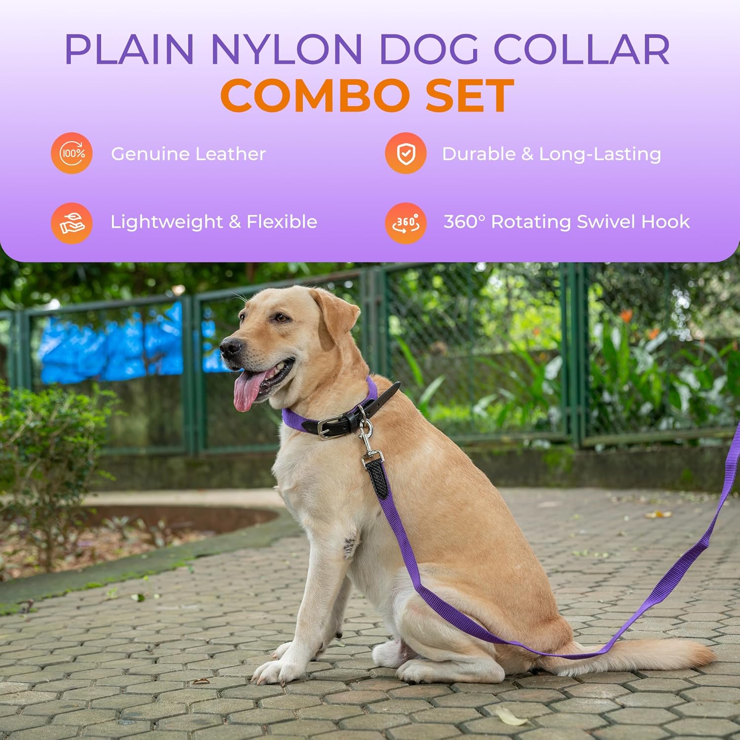 Adil’s Adjustable Plain Nylon with Leather Dog Collar & Leash Combo – Reinforced with Metal Buckle, 360° Swivel Hook, D-Ring & 10ft Leash for Small, Medium & Large Dogs (Purple, Small)