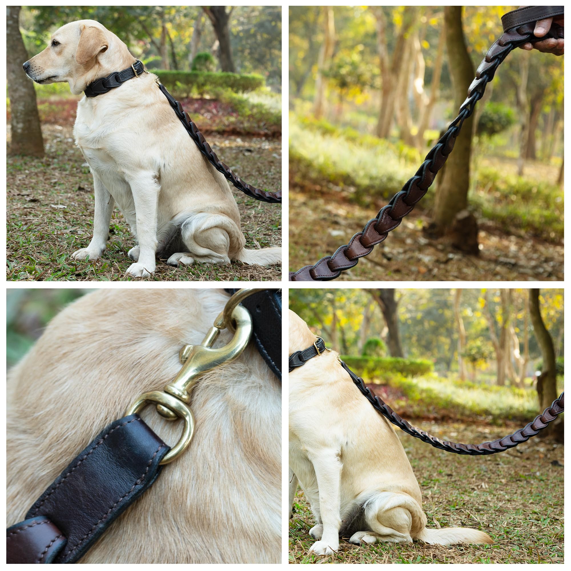 Adil's Premium Softy Leather Dog Leash 5ft Long 1 Inch Wide Braided Leash with Loop Handle 360° Golden Swivel Hook Strong D-Ring Durable Walking Training Lead for Small Medium Large Pets