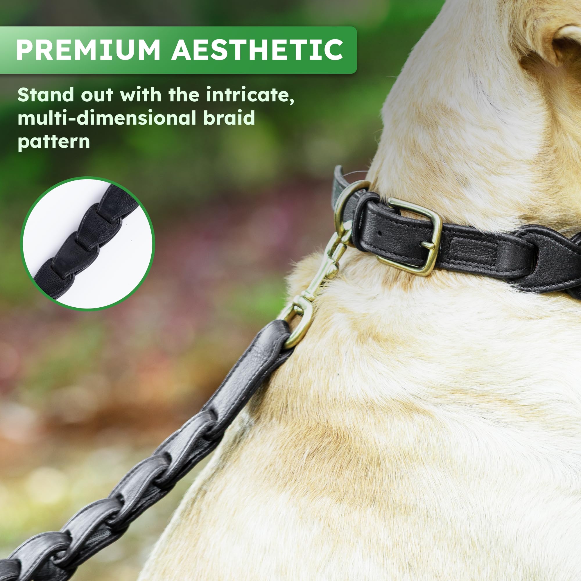 Adil's Premium Softy Leather Dog Leash 5ft Long 1 Inch Wide Braided Leash with Loop Handle 360° Golden Swivel Hook Strong D-Ring Durable Walking Training Lead for Small Medium Large Pets