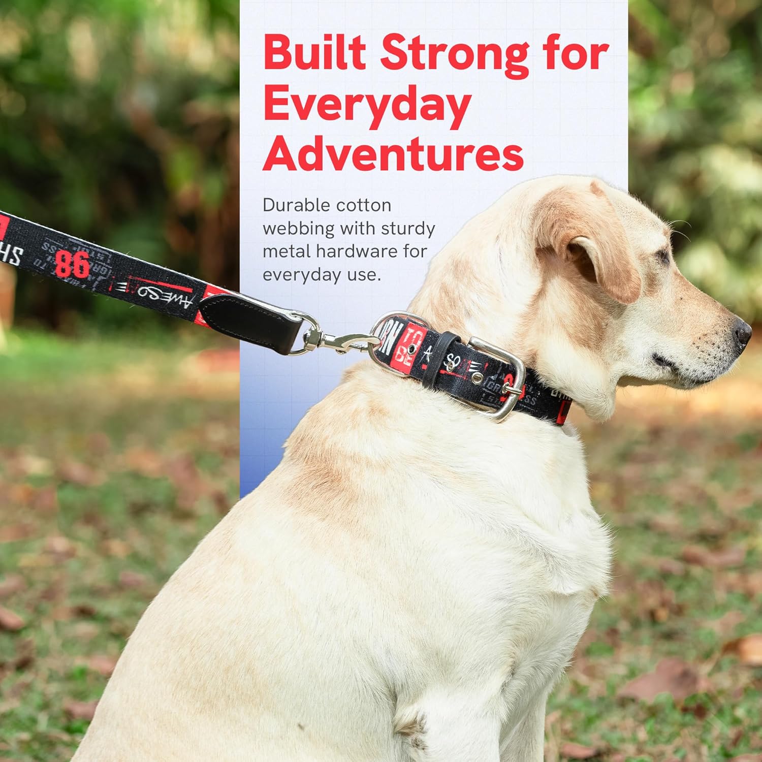 ADIL's Handcrafted Cotton Dog Collar – Premium Graffiti Printed Webbing Neckbelt with Heavy-Duty Metal Buckle & Strong D-Ring Adjustable Neckband for Small Medium Large Dogs, 1.5 Inch (Black, S)