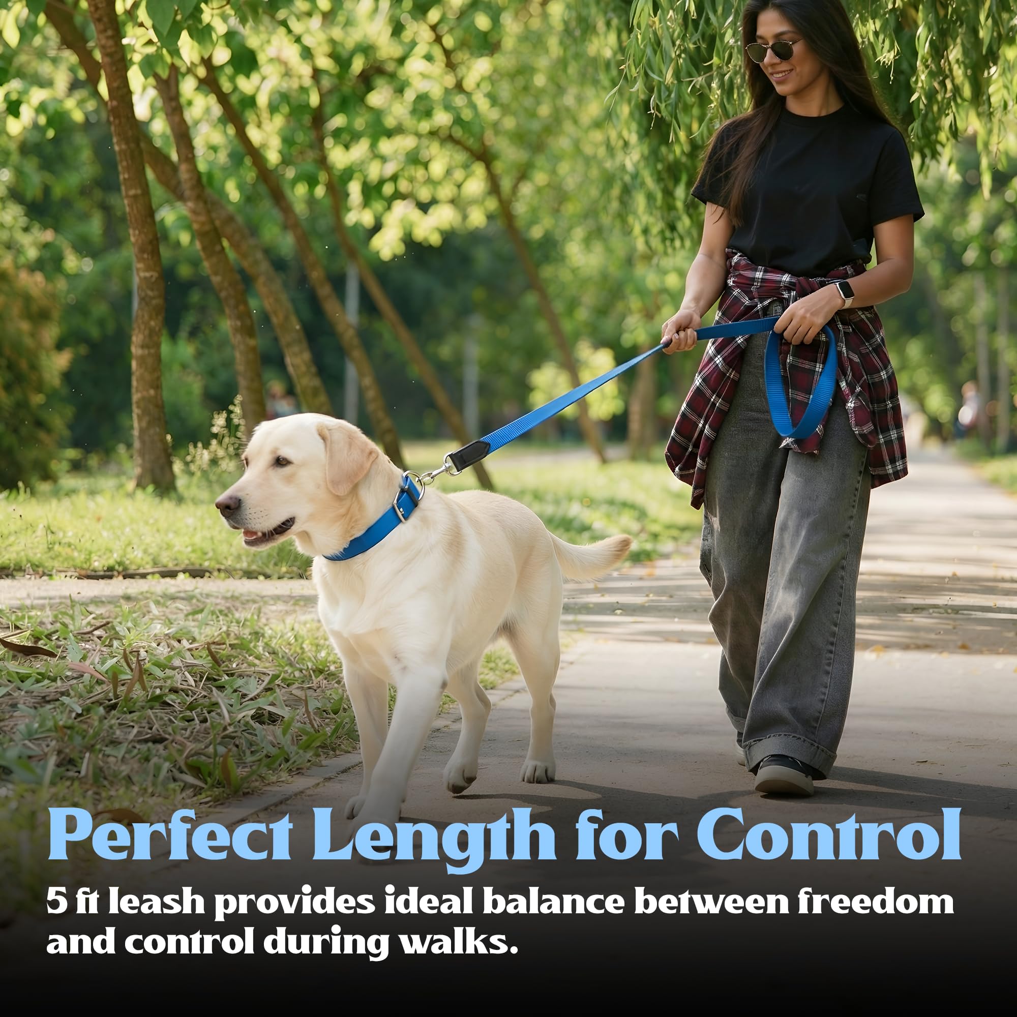 ADIL's Nylon Dog Leash, Heavy Duty Walking Lead with 360° Swivel Metal Hook 1.5 Inch Wide Durable Training Cord with Comfortable Loop Handle for Medium Large Dogs