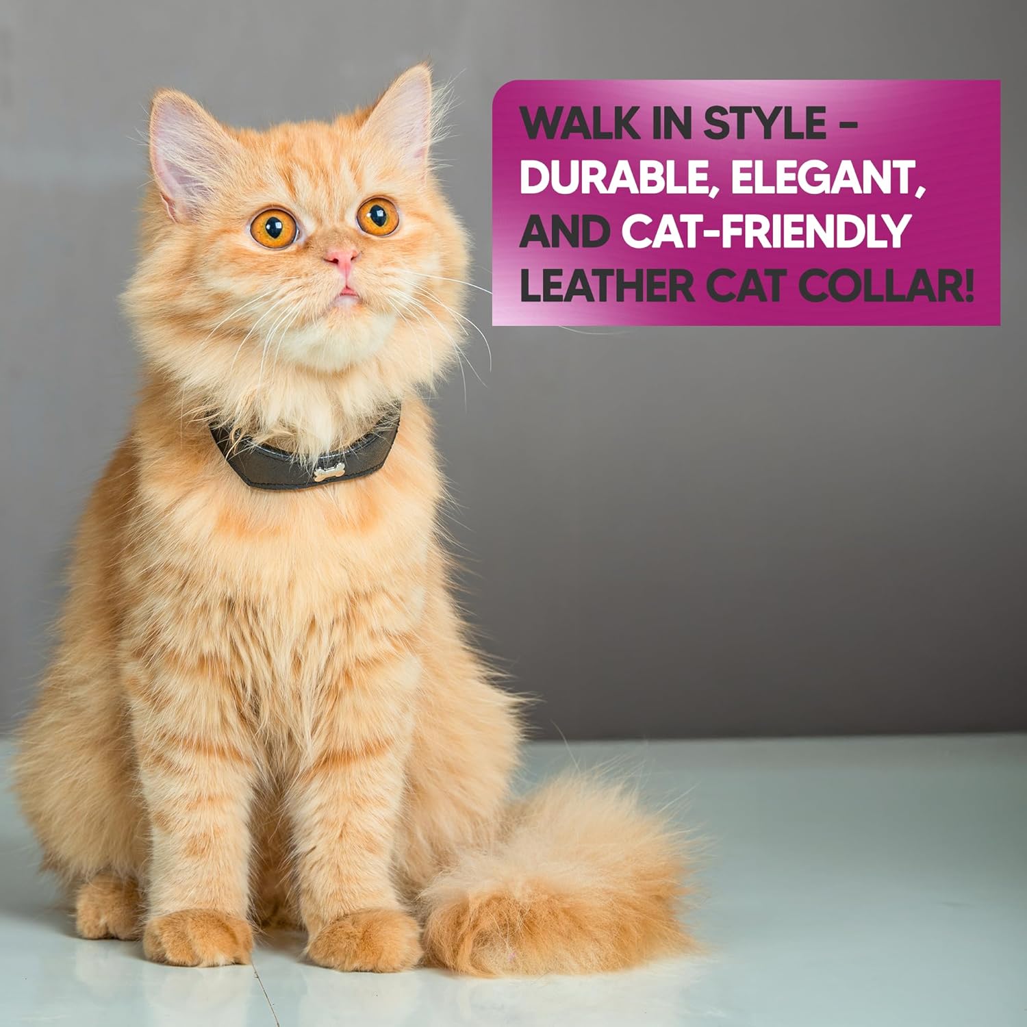 Adil’S Leather Cat Collar - Stylish Single Bone Studded Design, Breakaway Soft pet Collar, Adjustable Metal Buckle with Strong D-Ring for Leash attachments for Outdoor Adventures (Black)