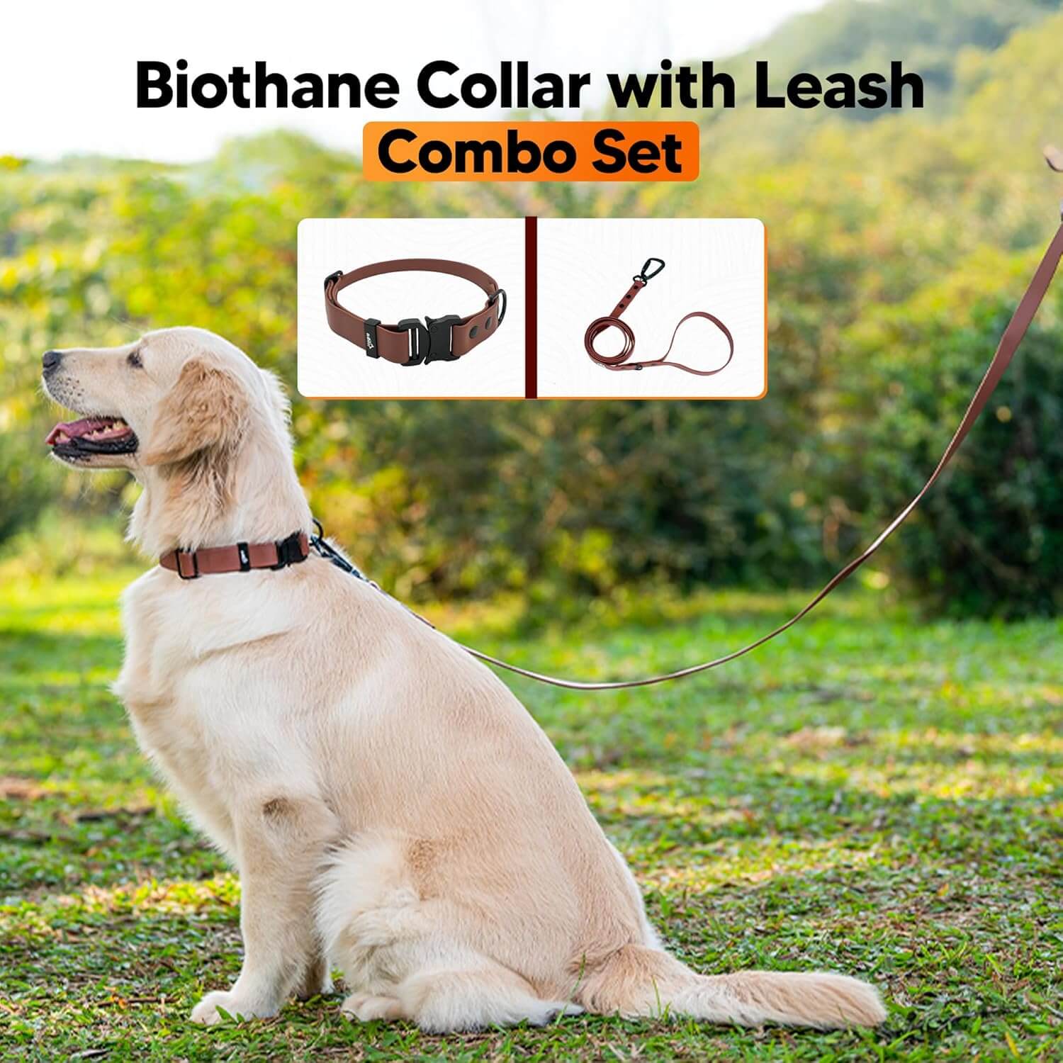 Biothane Combo Dog Collar & Leash
