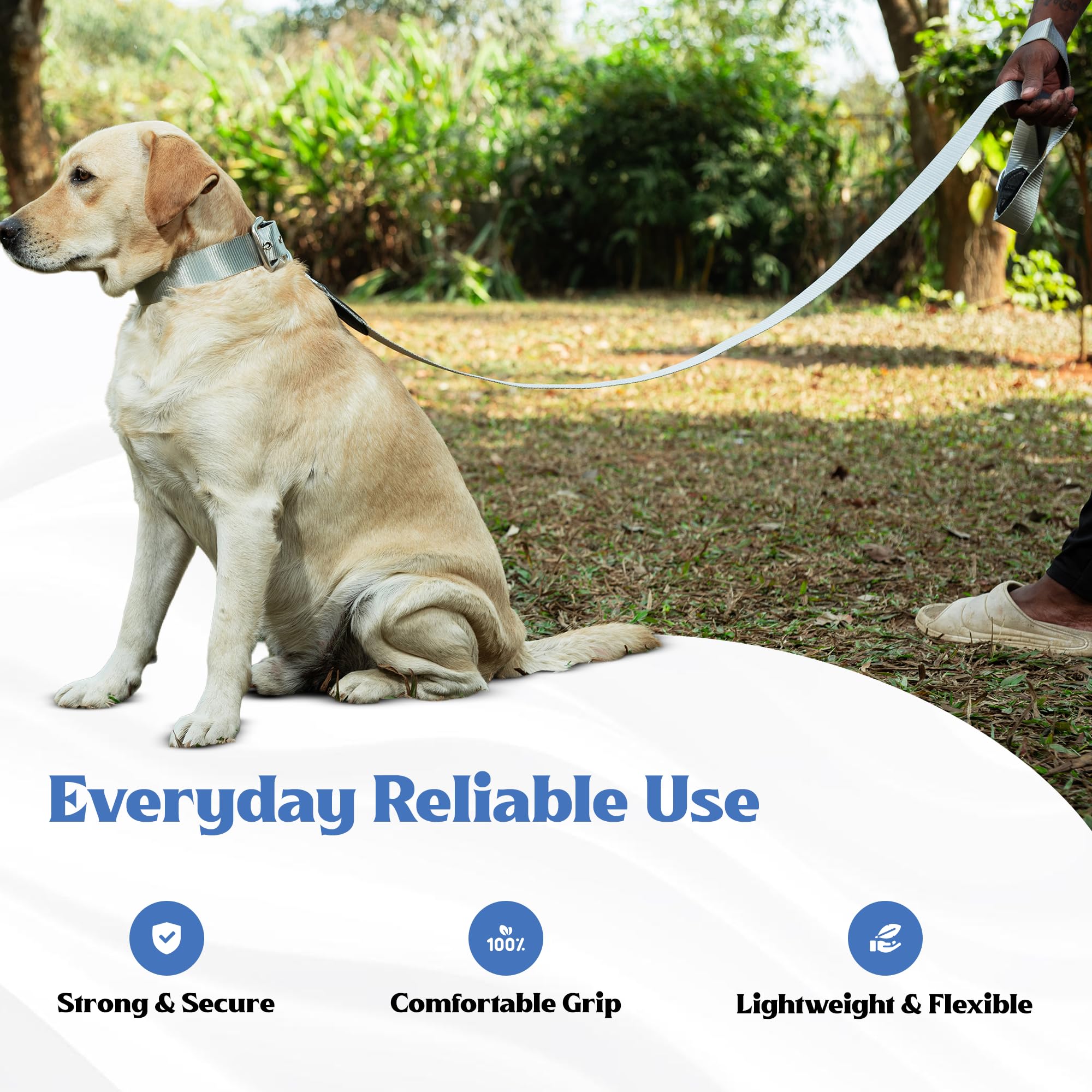 ADIL's Nylon Dog Leash, Heavy Duty Walking Lead with 360° Swivel Metal Hook 1.5 Inch Wide Durable Training Cord with Comfortable Loop Handle for Medium Large Dogs