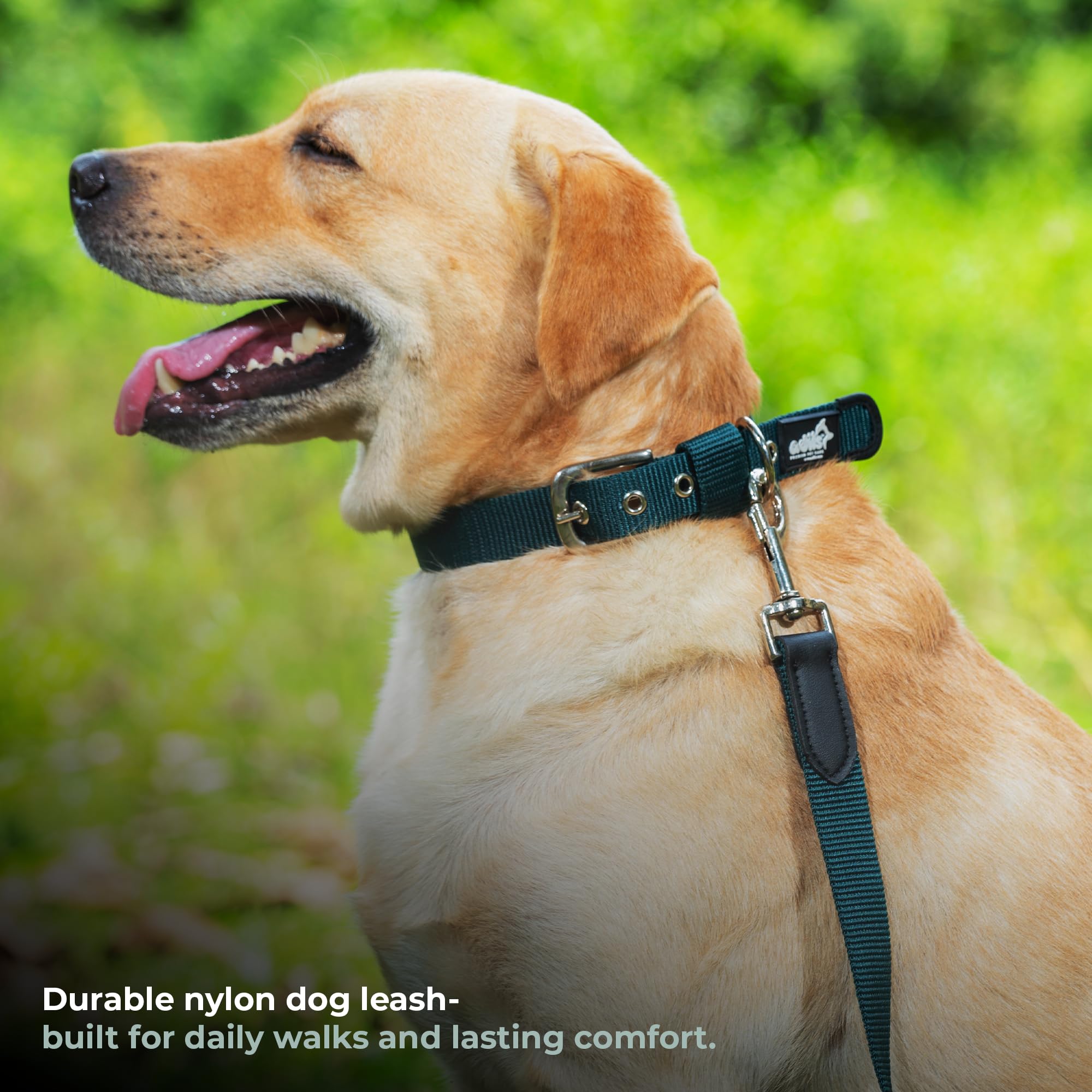 Adil’s 5FT Adjustable Nylon Dog Leash with Soft Leather Handle – Durable Long Lead with 360° Swivel Hook – Strong, Tangle-Free Leash for Walking & Training Small, Medium & Large Dogs