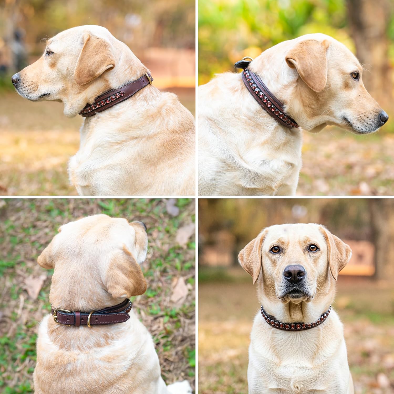 Adil’s Crystal Dog Collar, 1 inch Wide Green Gemstone Chain Leather Dog Collars for Small Medium Large Dogs, Adjustable Collars with Strong Metal Buckle & D-Ring