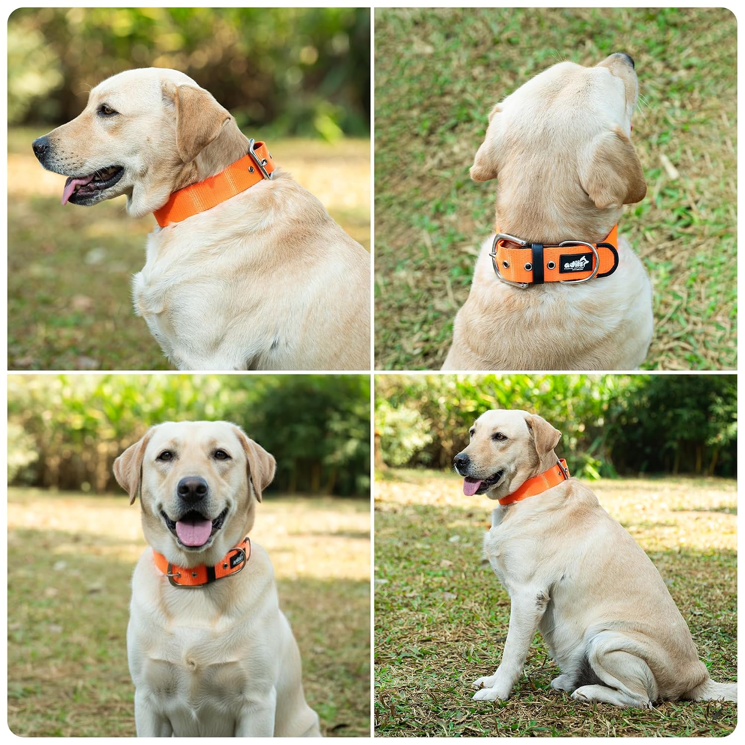 ADIL's Nylon Dog Collar – 1.5 Inch Wide Heavy-Duty Neckbelt with Metal Buckle D-Ring, Adjustable Safety Strap Small Medium Large Pets for Outdoor Walking Training