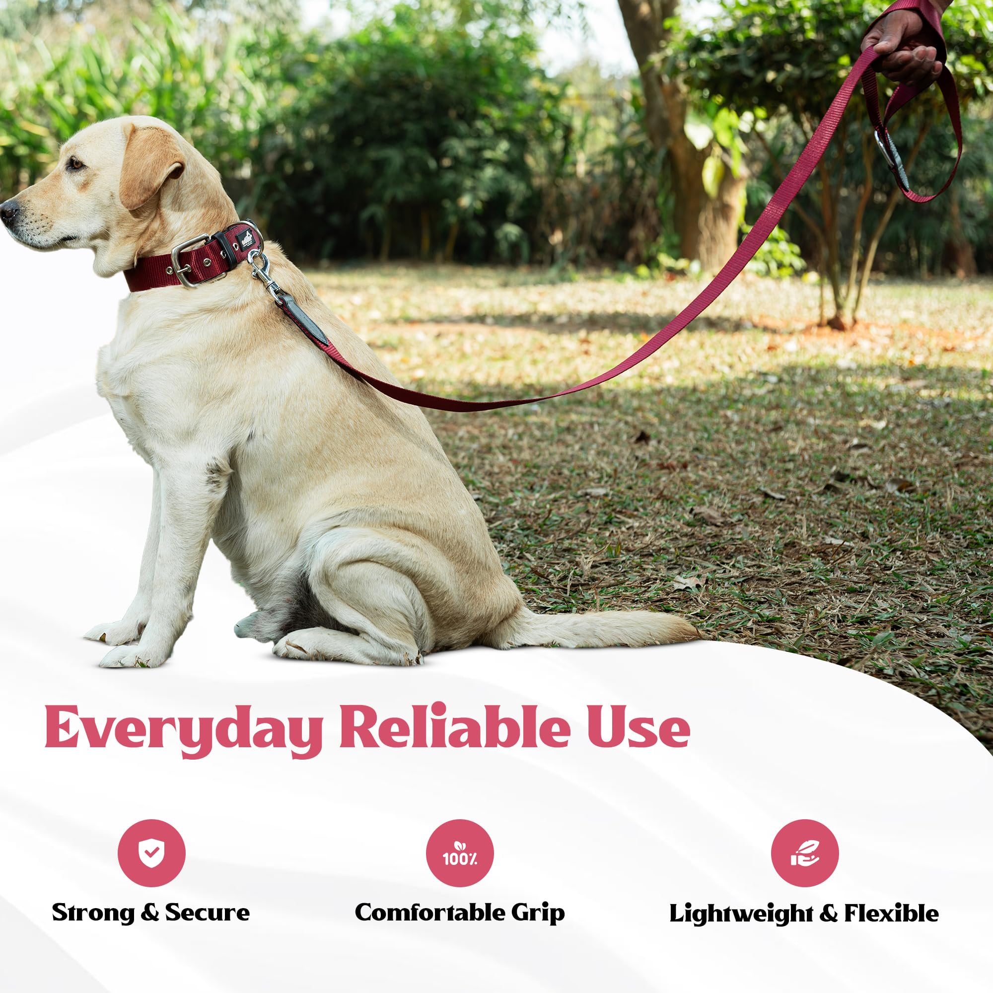 ADIL's Nylon Dog Leash, Heavy Duty Walking Lead with 360° Swivel Metal Hook 1.5 Inch Wide Durable Training Cord with Comfortable Loop Handle for Medium Large Dogs