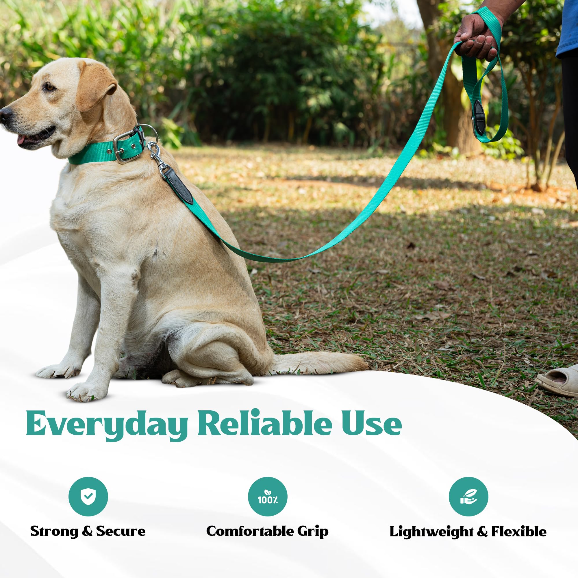 ADIL's Nylon Dog Leash, Heavy Duty Walking Lead with 360° Swivel Metal Hook 1.5 Inch Wide Durable Training Cord with Comfortable Loop Handle for Medium Large Dogs