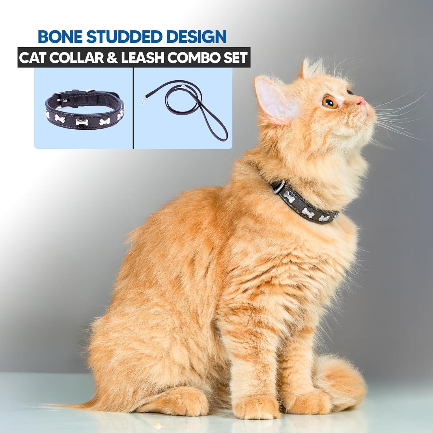 Adil’S Leather Cat Collar & Leash Set - Stylish Six Bone Studded Design Collar, Genuine Leather, Adjustable Buckle & Secure 5ft Leash for Safe and Comfortable Outdoor Activity (Brown)