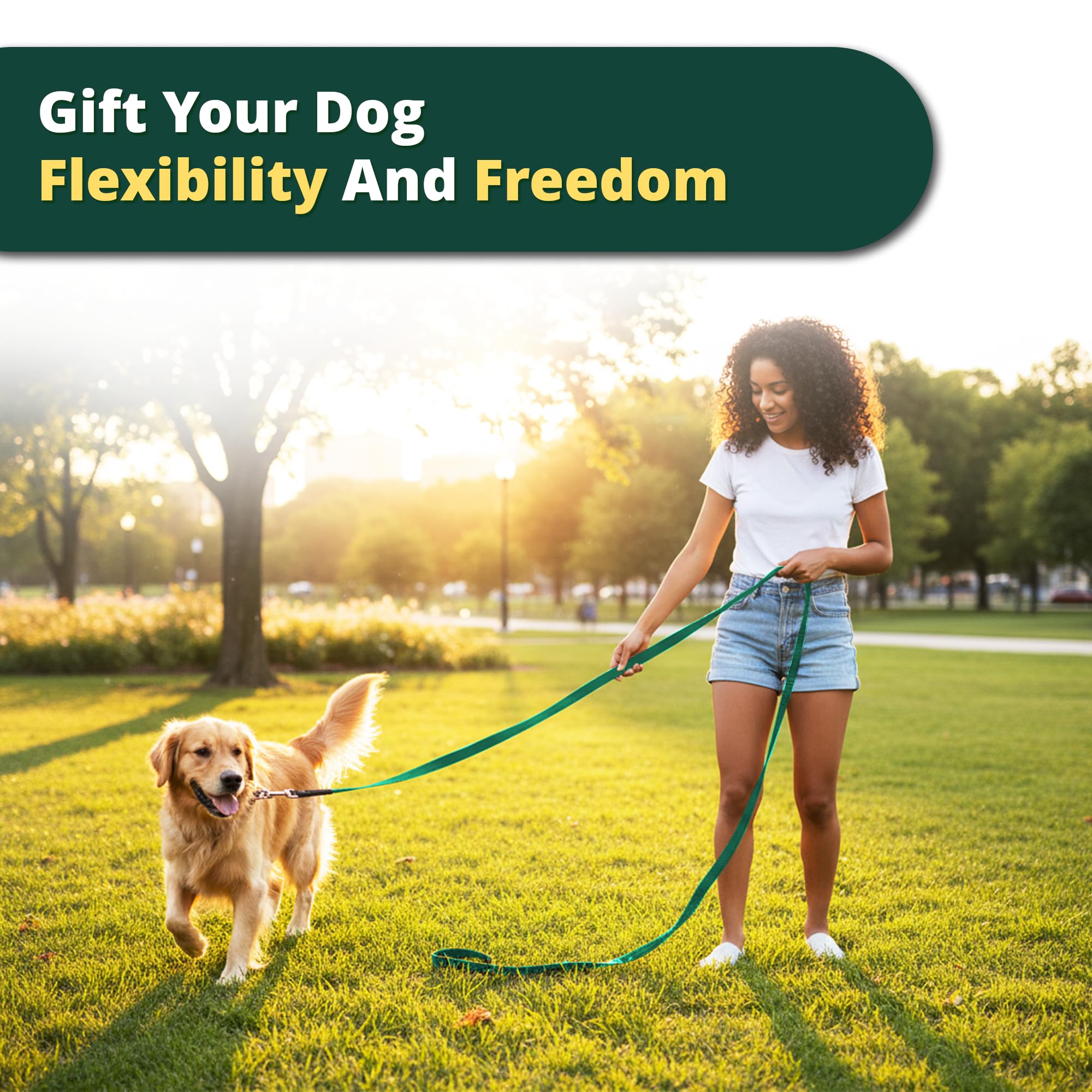 Adil’s 10FT Adjustable Dog Leash Features a Soft Leather Handle, Strong Nylon, and a 360° Swivel Hook—Durable, Comfy, and Ideal for Small to Large Dogs.