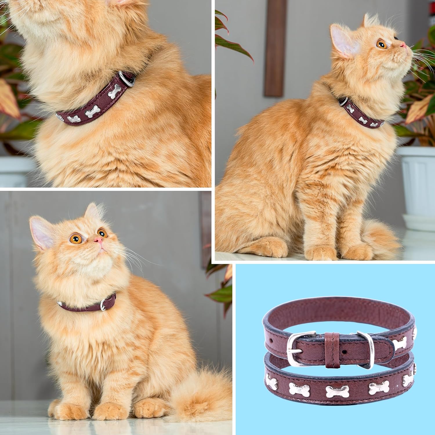 Adil’S Leather Cat Collar - Stylish Six Bone Studded Design, Breakaway Soft pet Collar, Adjustable Metal Buckle with Strong D-Ring for Leash attachments,Comfortable & Secure (Black)