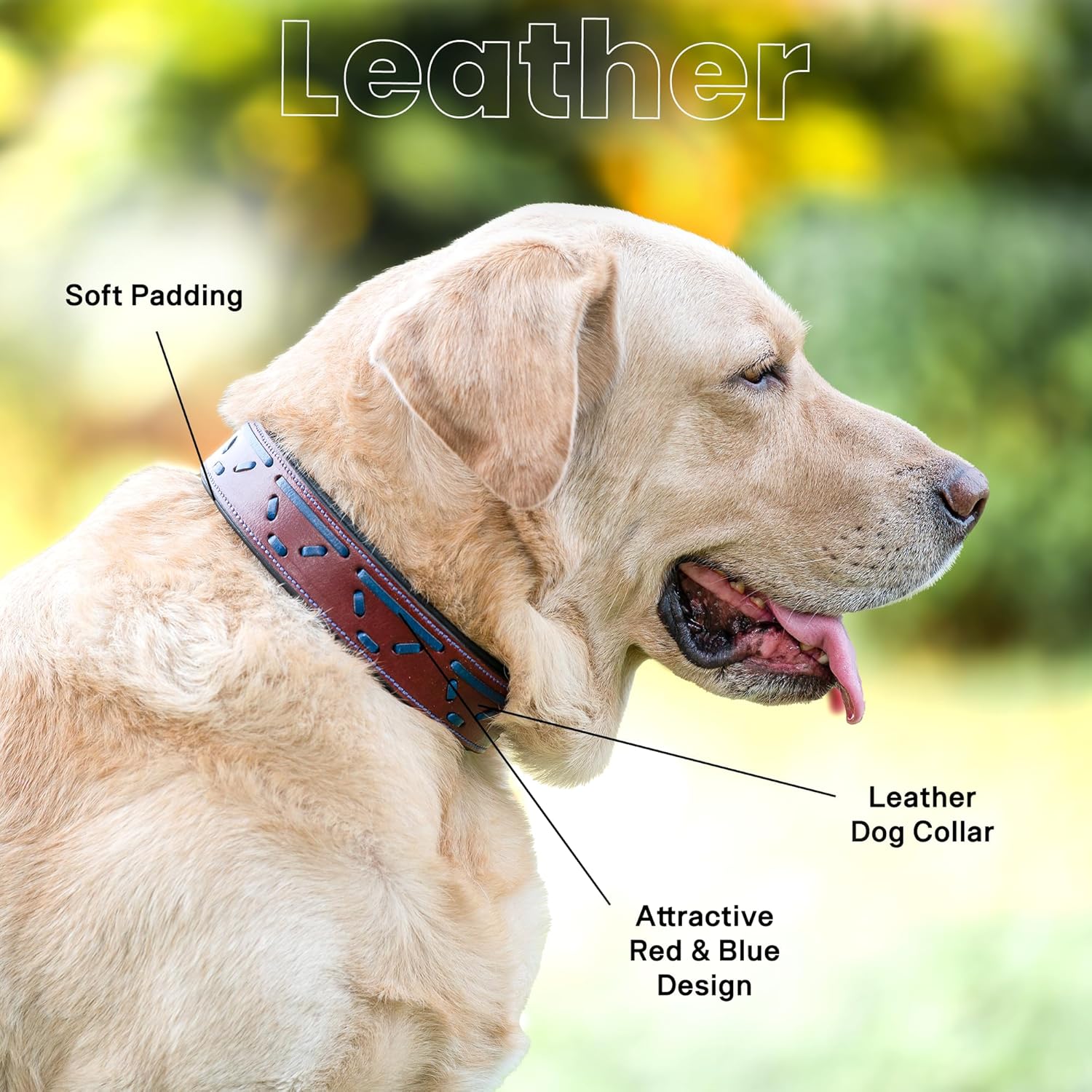 Adil's Leather Dog Collar with Metal Buckle & D-Ring - Red & Navy Blue Design