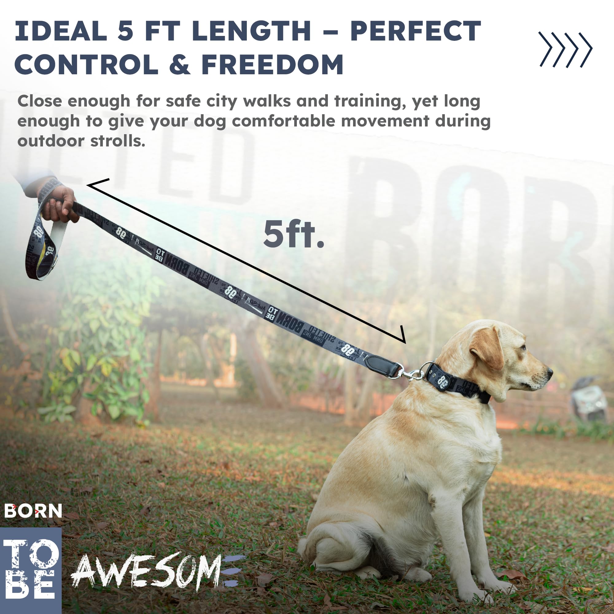 ADIL's Handcrafted Cotton Dog Leash – Premium Graffiti Printed Webbing Pet Walking Lead with Soft Loop Handle 360° Chrome Swivel Hook Strong Metallic D-Ring for Small Medium Large Dogs, 5ft