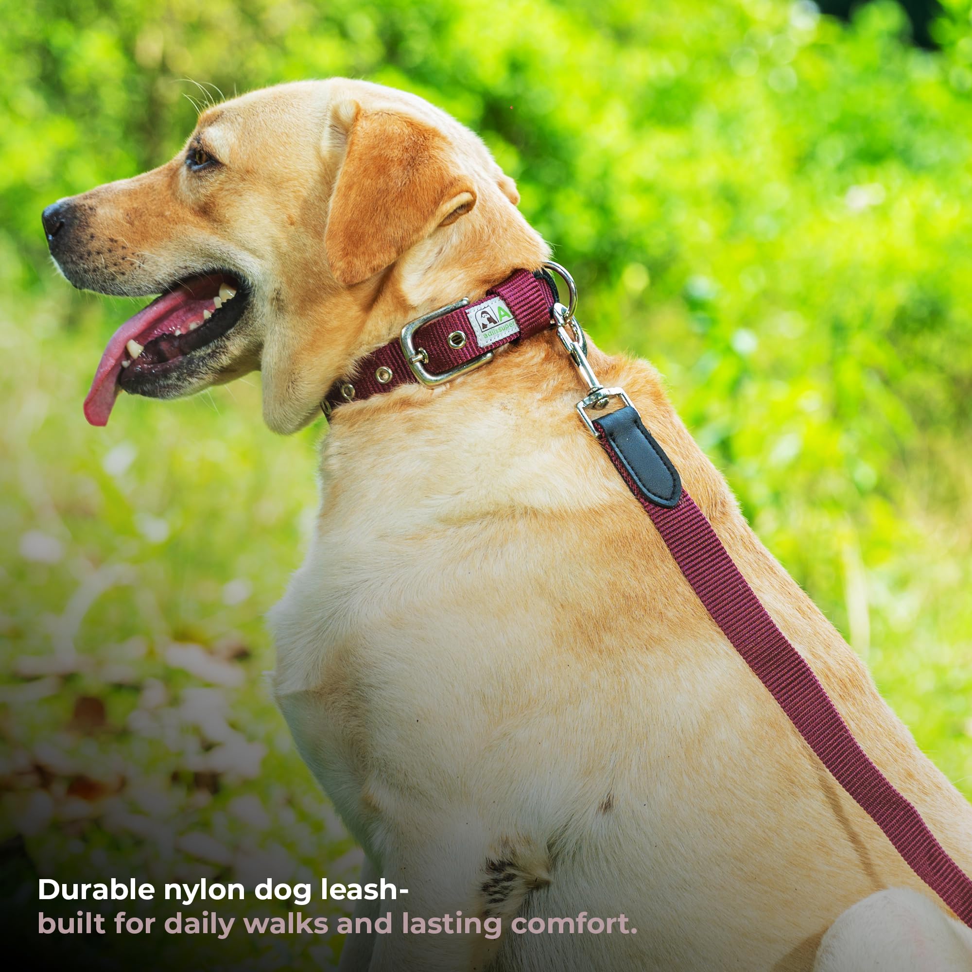 Adil’s 5FT Adjustable Nylon Dog Leash with Soft Leather Handle – Durable Long Lead with 360° Swivel Hook – Strong, Tangle-Free Leash for Walking & Training Small, Medium & Large Dogs