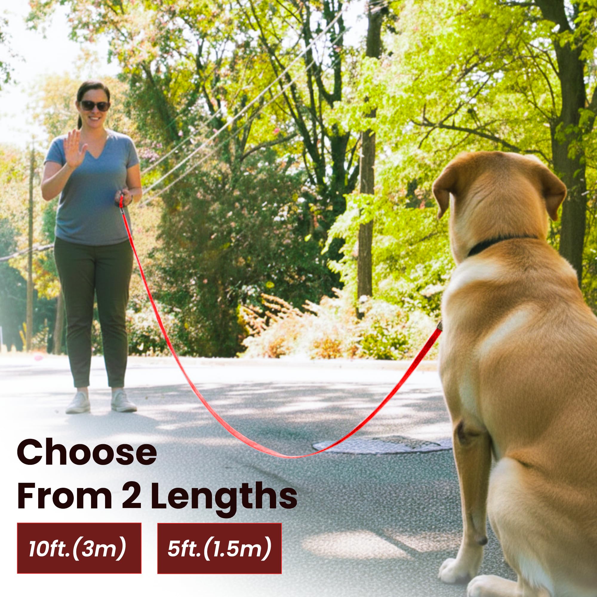 Adil’s 10FT Adjustable Dog Leash Features a Soft Leather Handle, Strong Nylon, and a 360° Swivel Hook—Durable, Comfy, and Ideal for Small to Large Dogs.