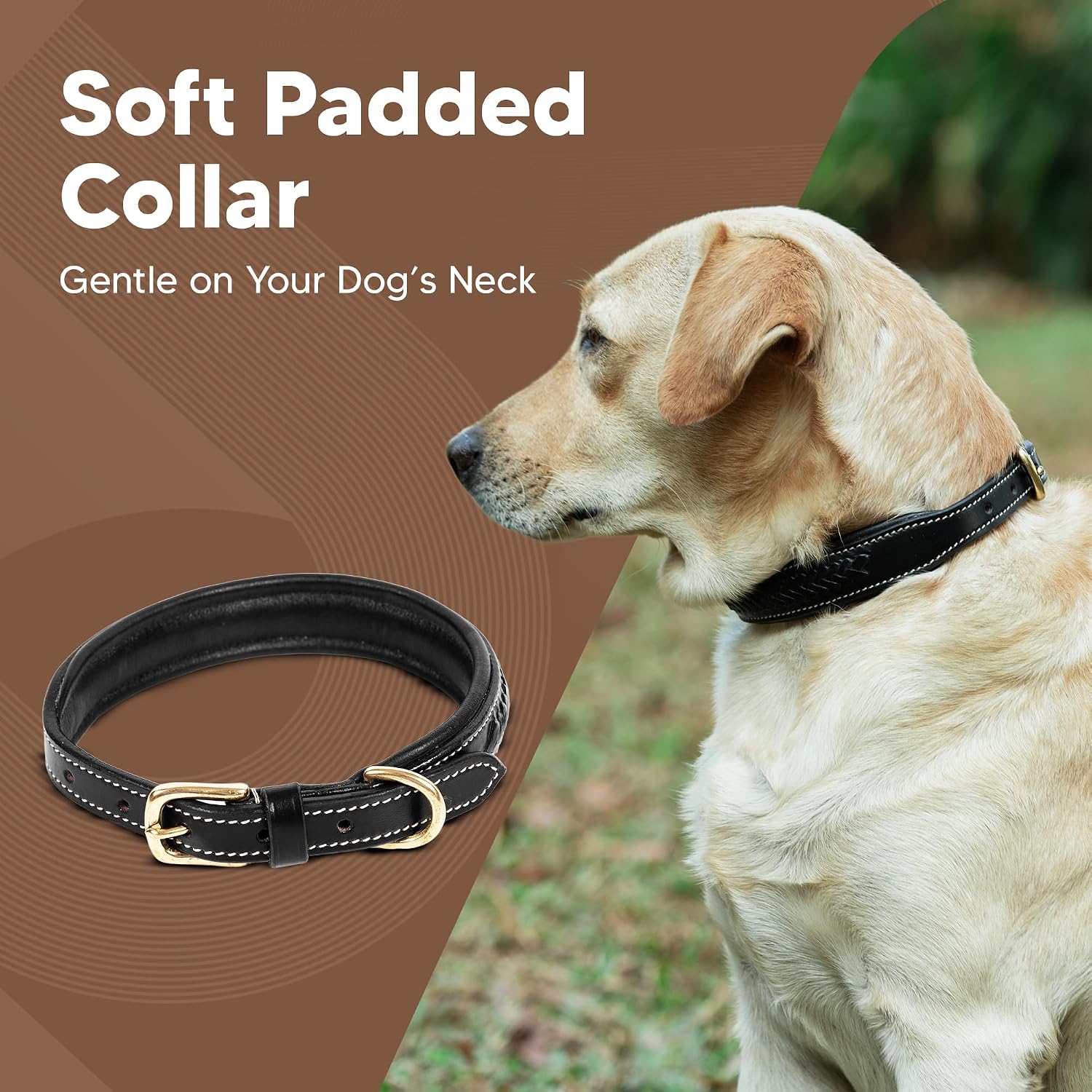 ADIL'S Handcrafted Leather Dog Collar – Basket Weave Braided Design Neckbelt with Brass Buckle & D-Ring for Small Medium Large Dogs, Black 1 Inch