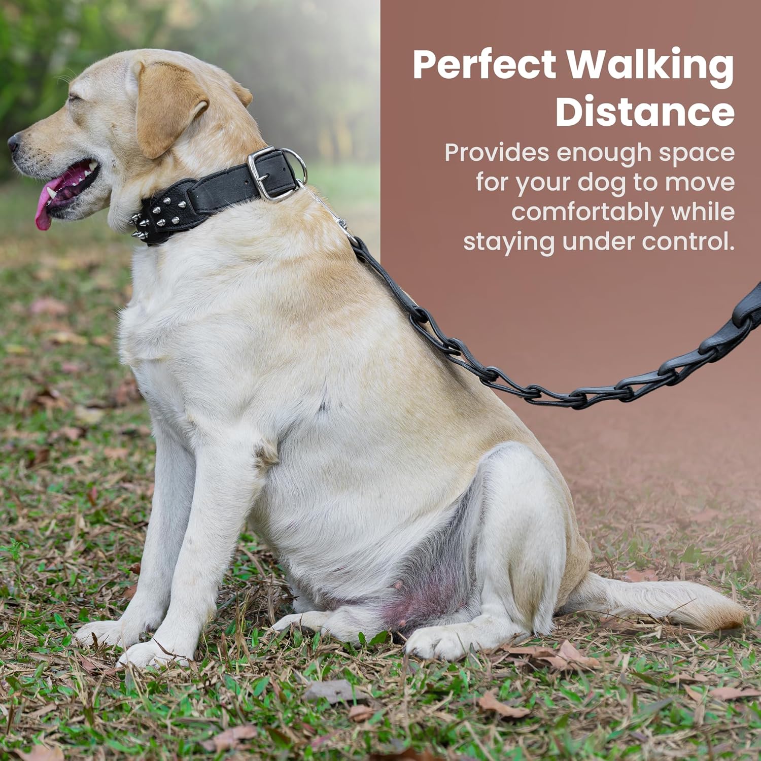 Adil’s Personalized Leather Loop Spike Dog Collar & Leash Combo Set 1.5" Wide Adjustable Neckbelt Metal Buckle D-Ring 5Ft Leather Heavy Duty Loop Cord with 360 Swivel Hook for Training Walking