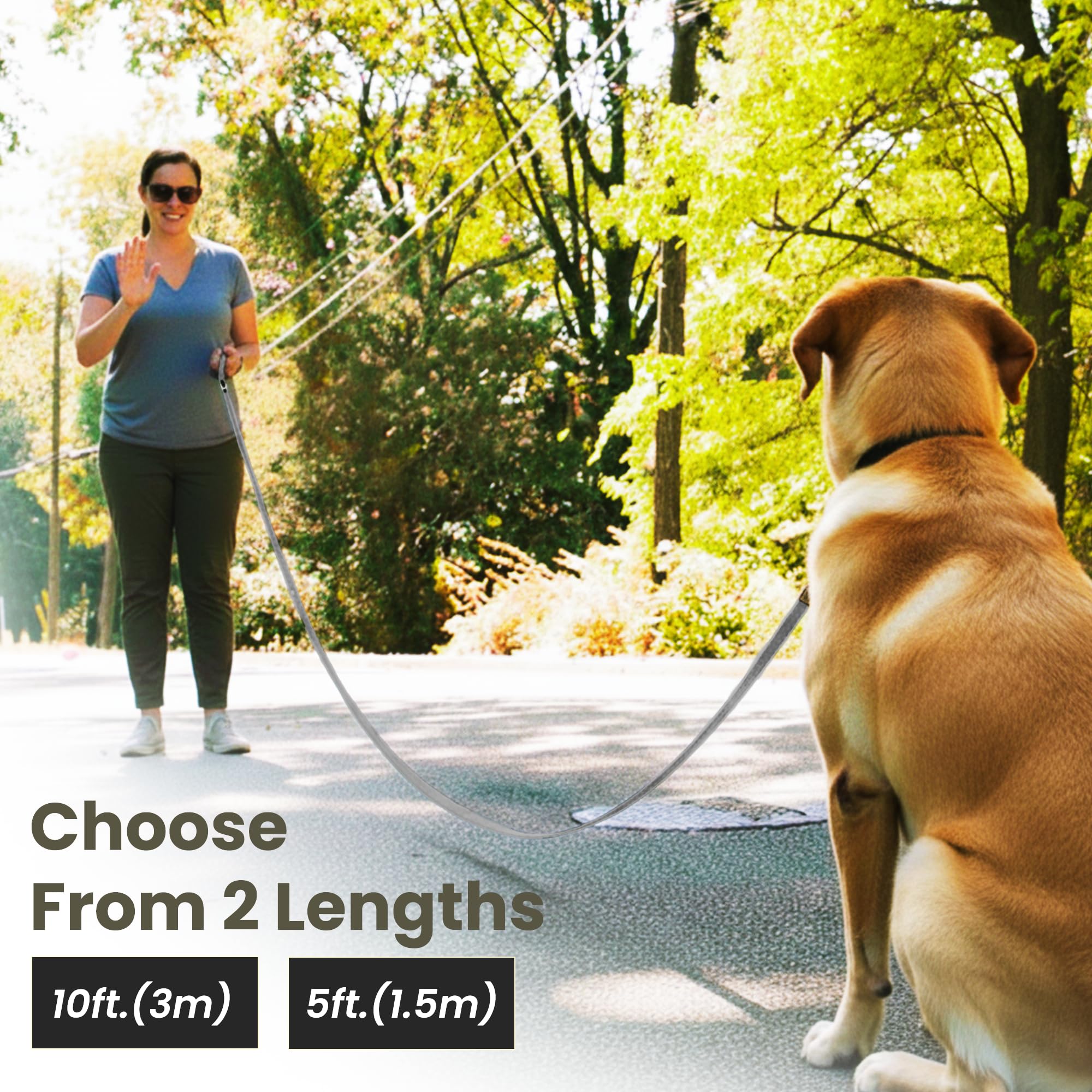 Adil’s 10FT Adjustable Dog Leash Features a Soft Leather Handle, Strong Nylon, and a 360° Swivel Hook—Durable, Comfy, and Ideal for Small to Large Dogs.