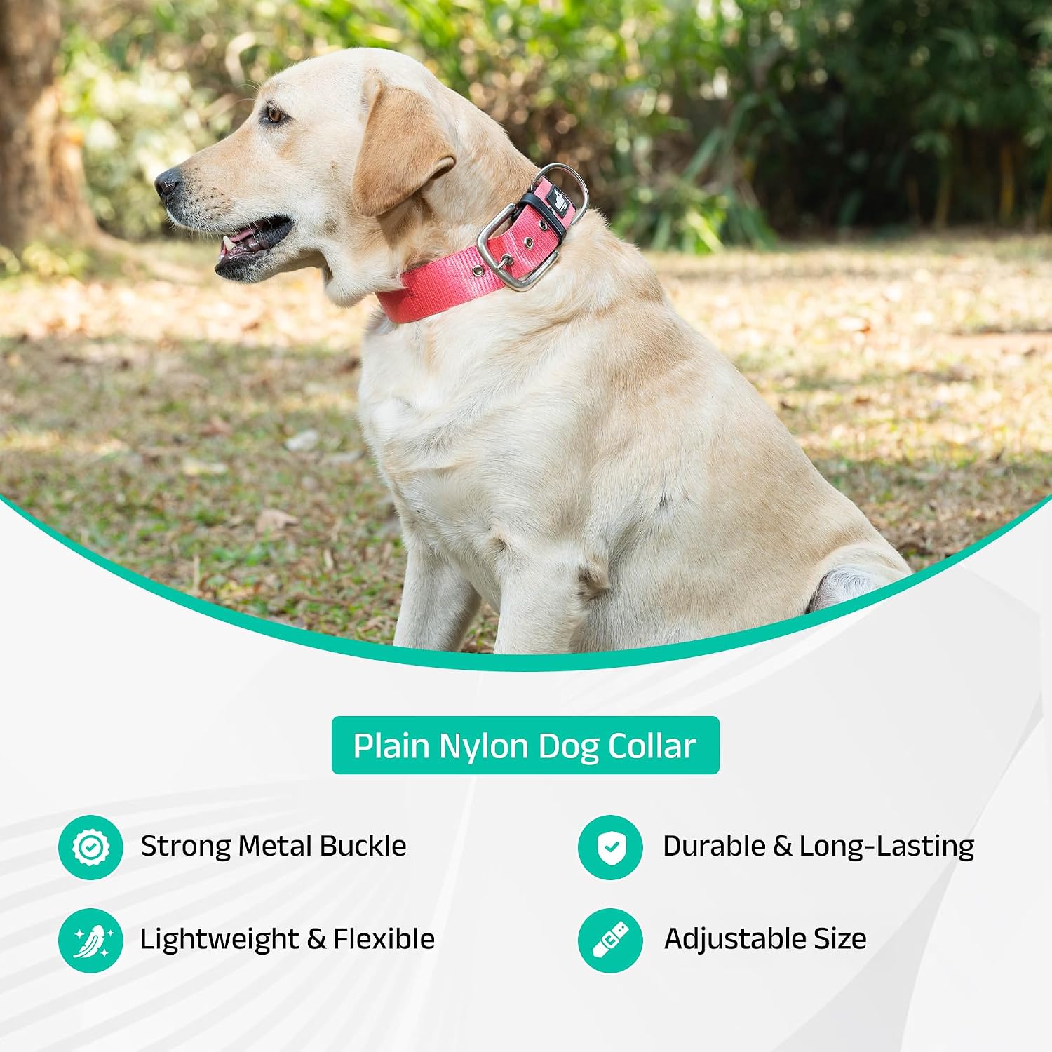 ADIL's Nylon Dog Collar – 1.5 Inch Wide Heavy-Duty Neckbelt with Metal Buckle D-Ring, Adjustable Safety Strap Small Medium Large Pets for Outdoor Walking Training