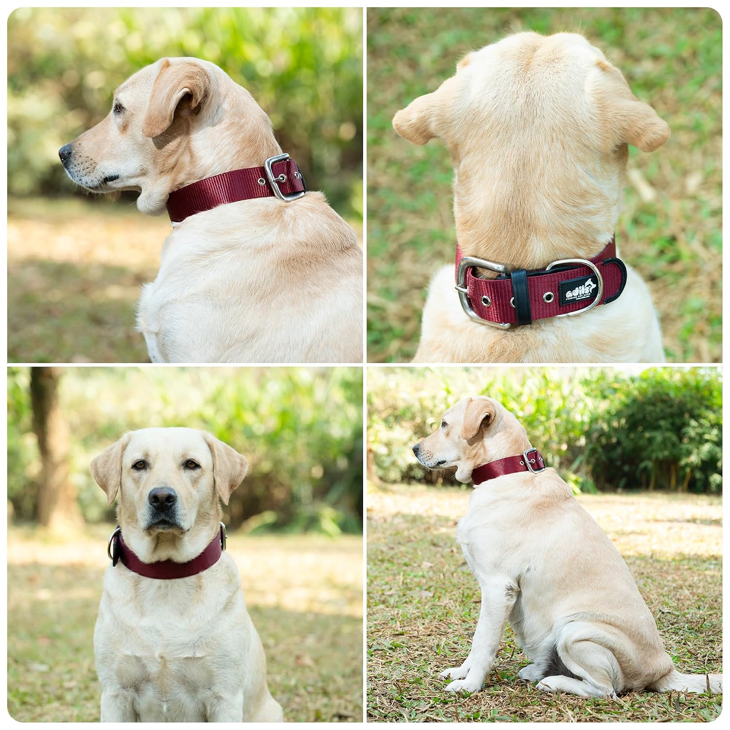 ADIL's Nylon Dog Collar – 1.5 Inch Wide Heavy-Duty Neckbelt with Metal Buckle D-Ring, Adjustable Safety Strap Small Medium Large Pets for Outdoor Walking Training